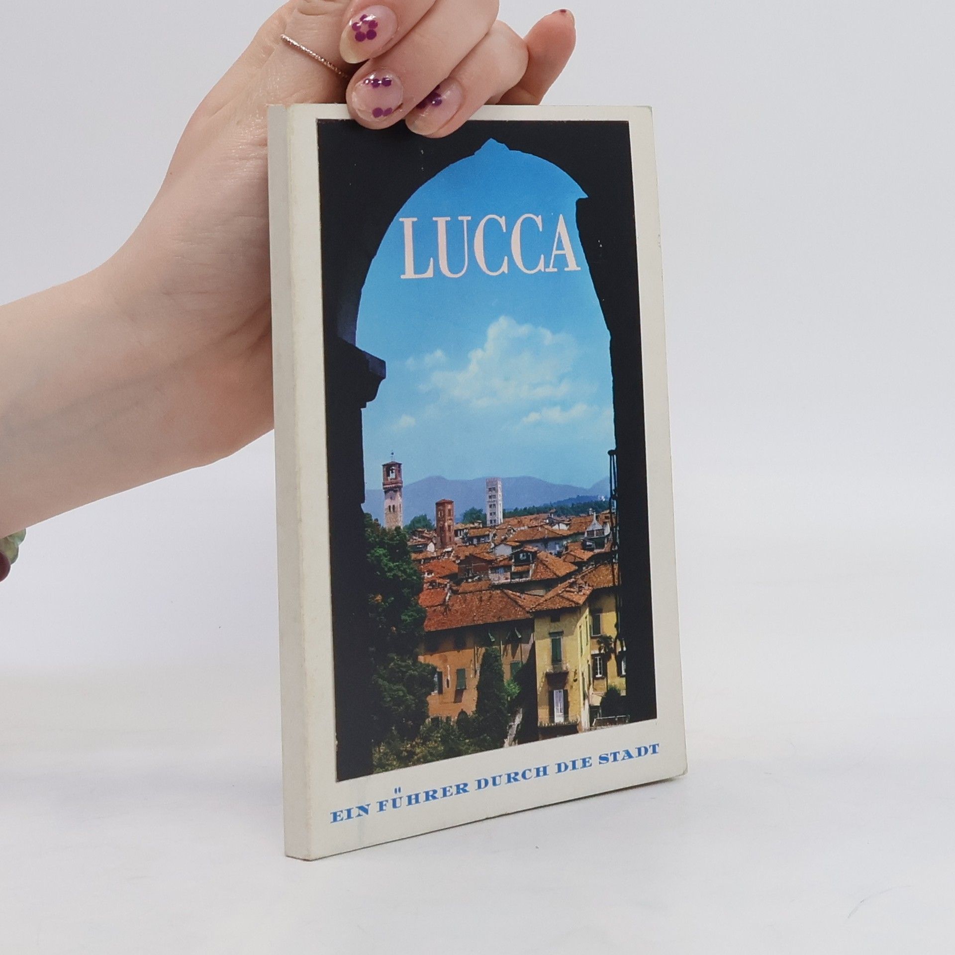 Auteurscollectief Lucca. Ein führer durch die Stadt