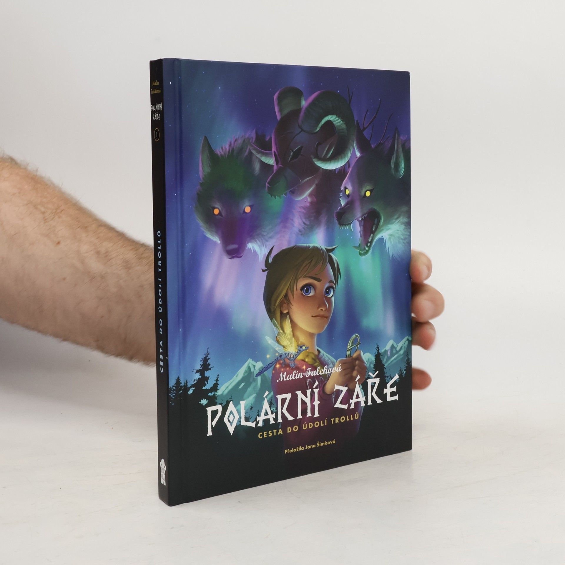 Malin Falch Polární záře. Cesta do Údolí trollů