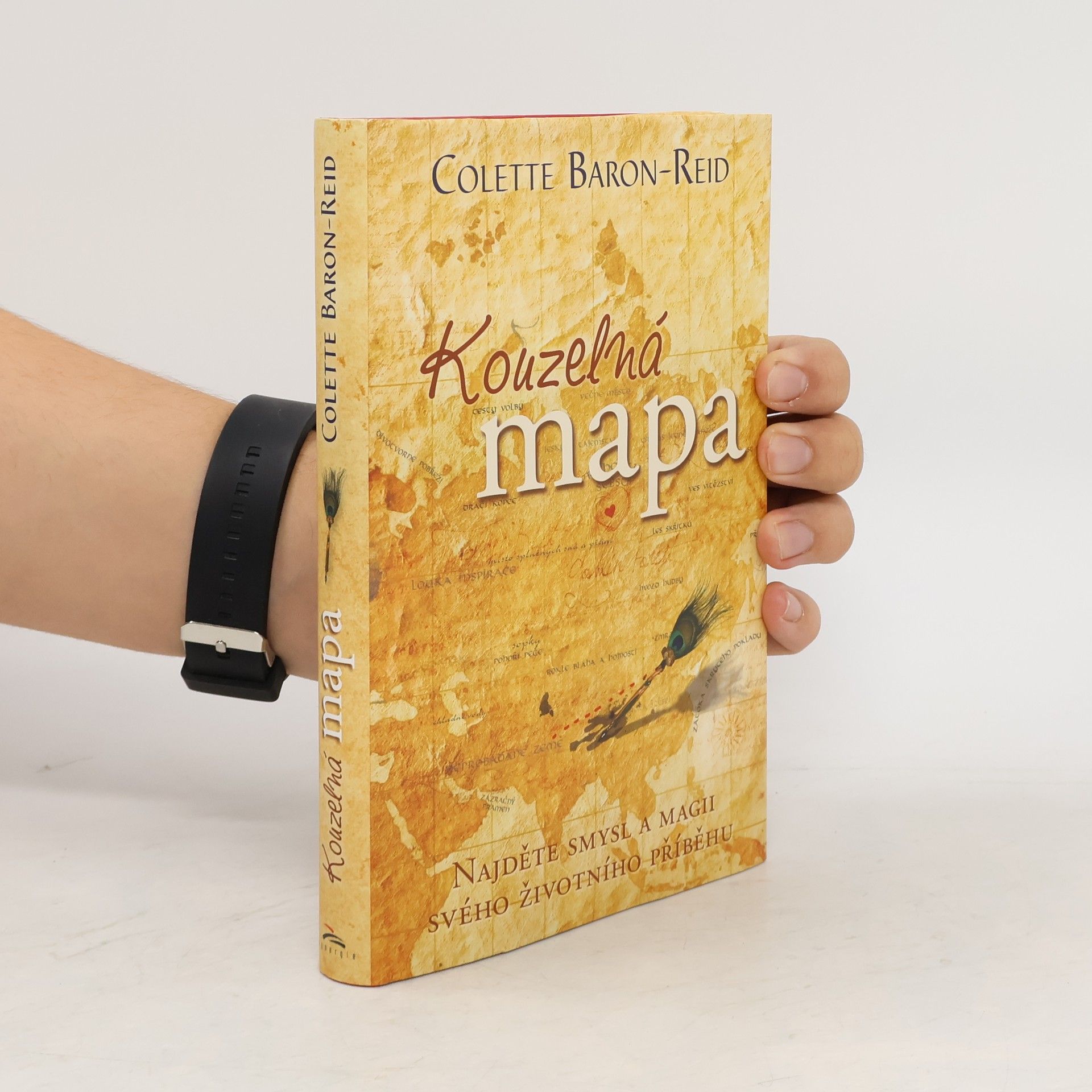 Colette Baron Reid Kouzelná mapa