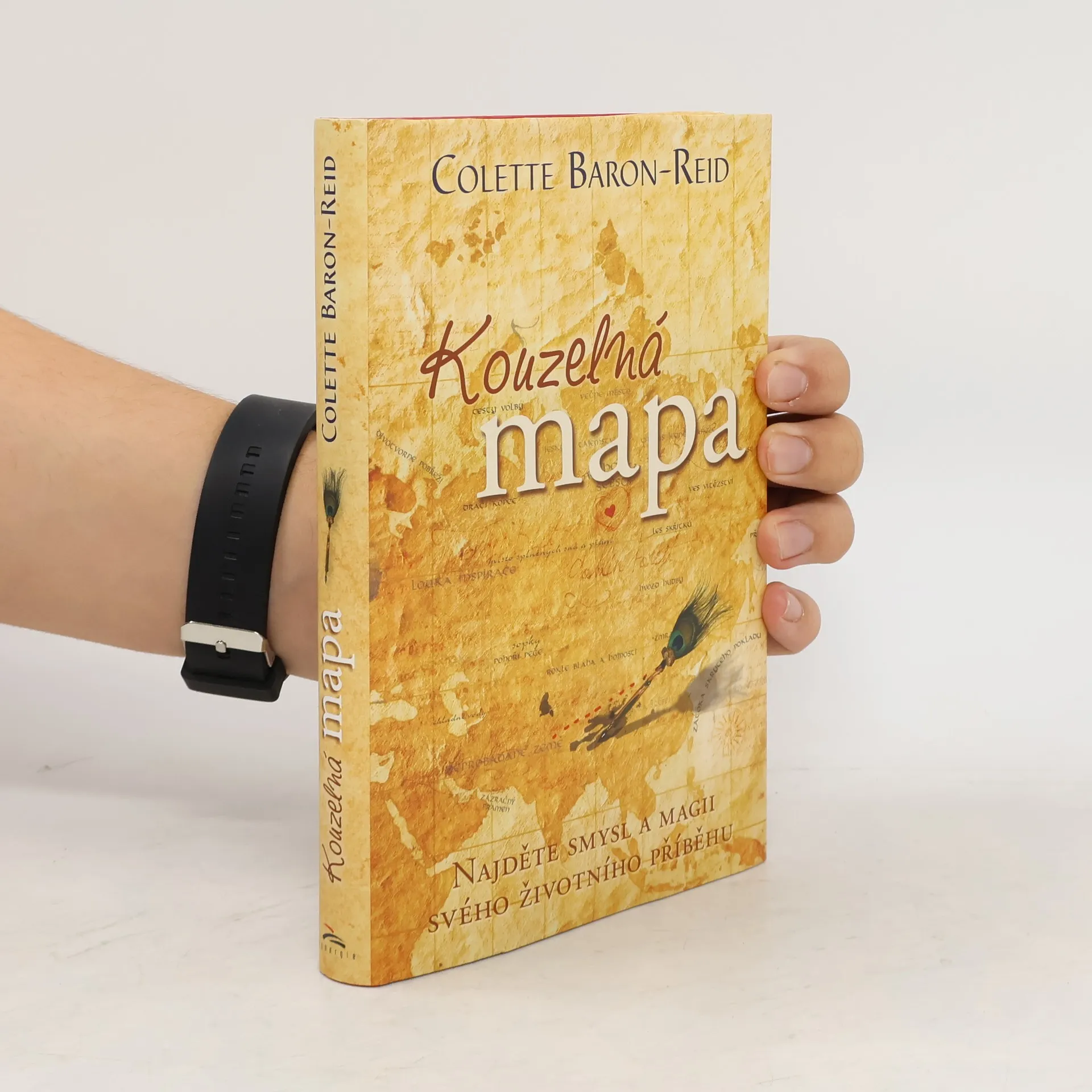 Kouzelná mapa | Book | Colette Baron Reid | CS