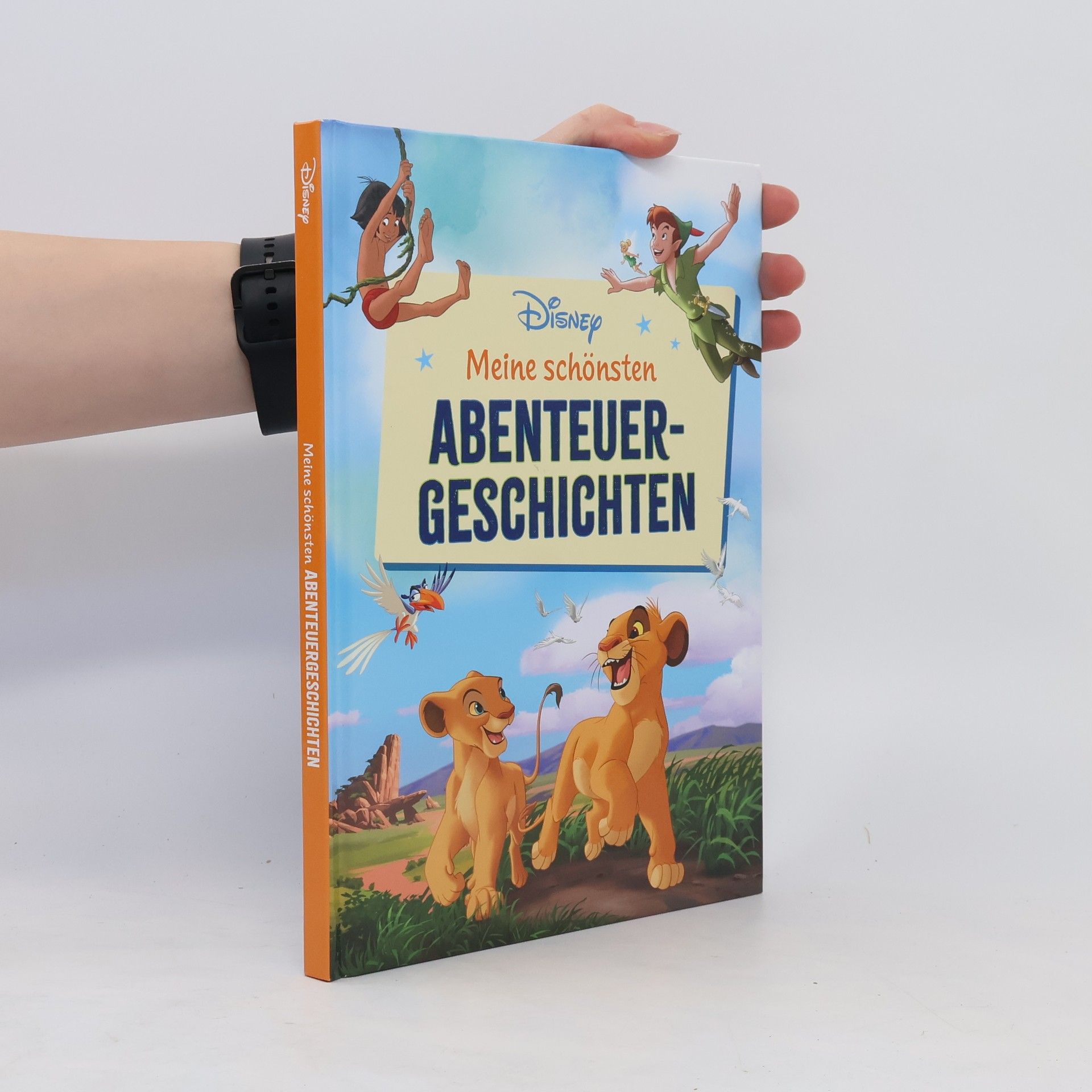 Autores varios Meine schönsten Abenteuergeschichten