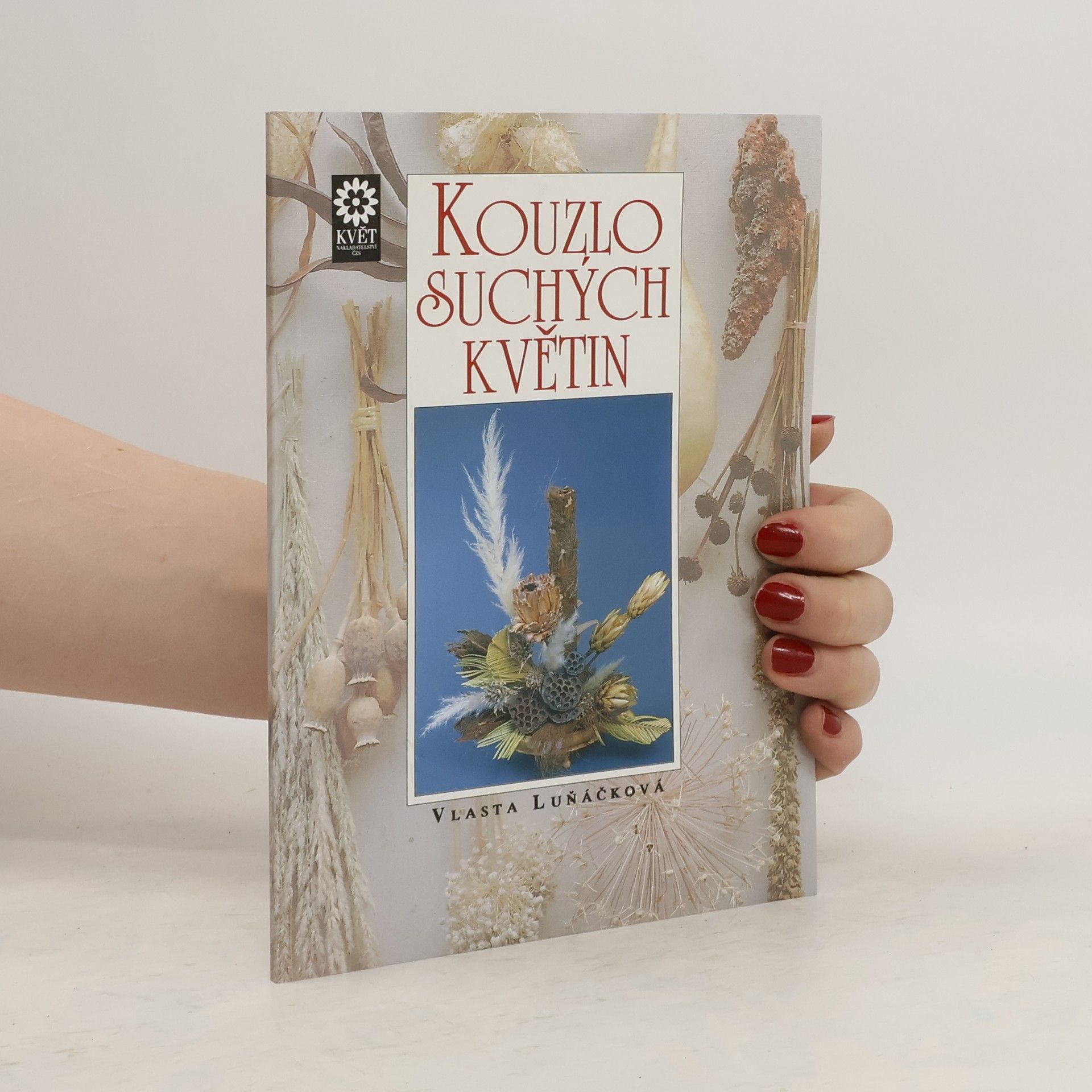 Vlasta Luňáčková Kouzlo suchých květin