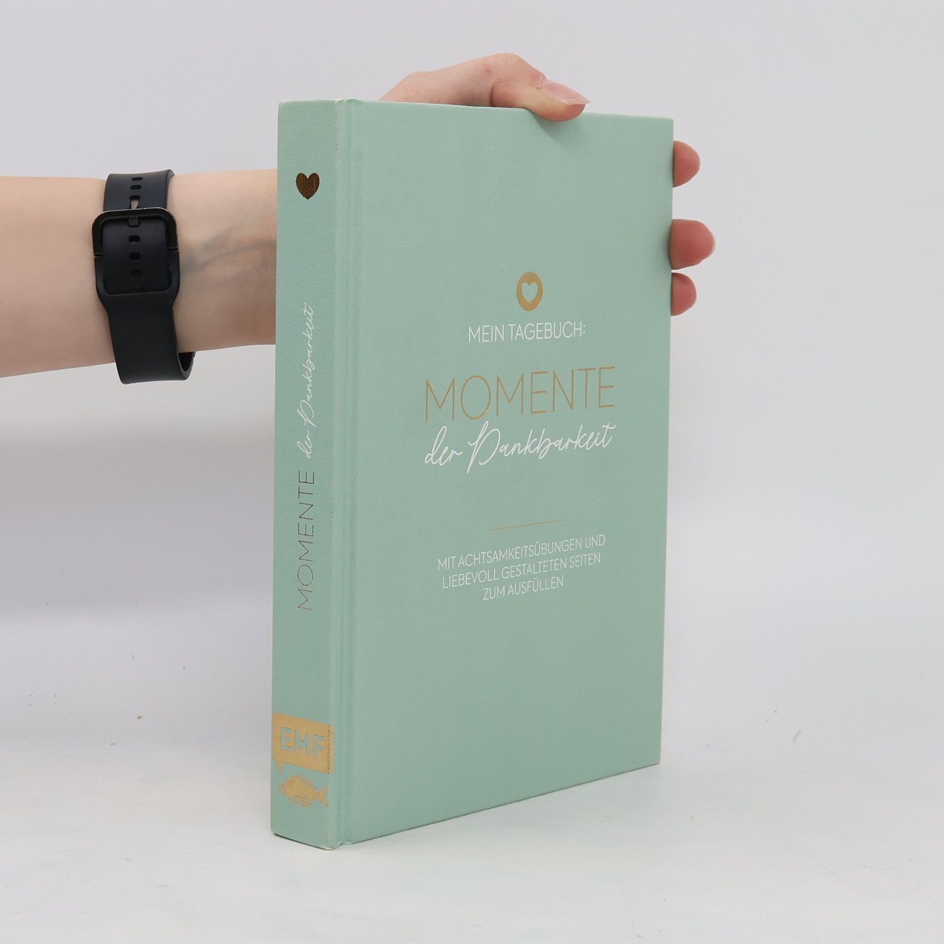 Various authors Mein Tagebuch Momente