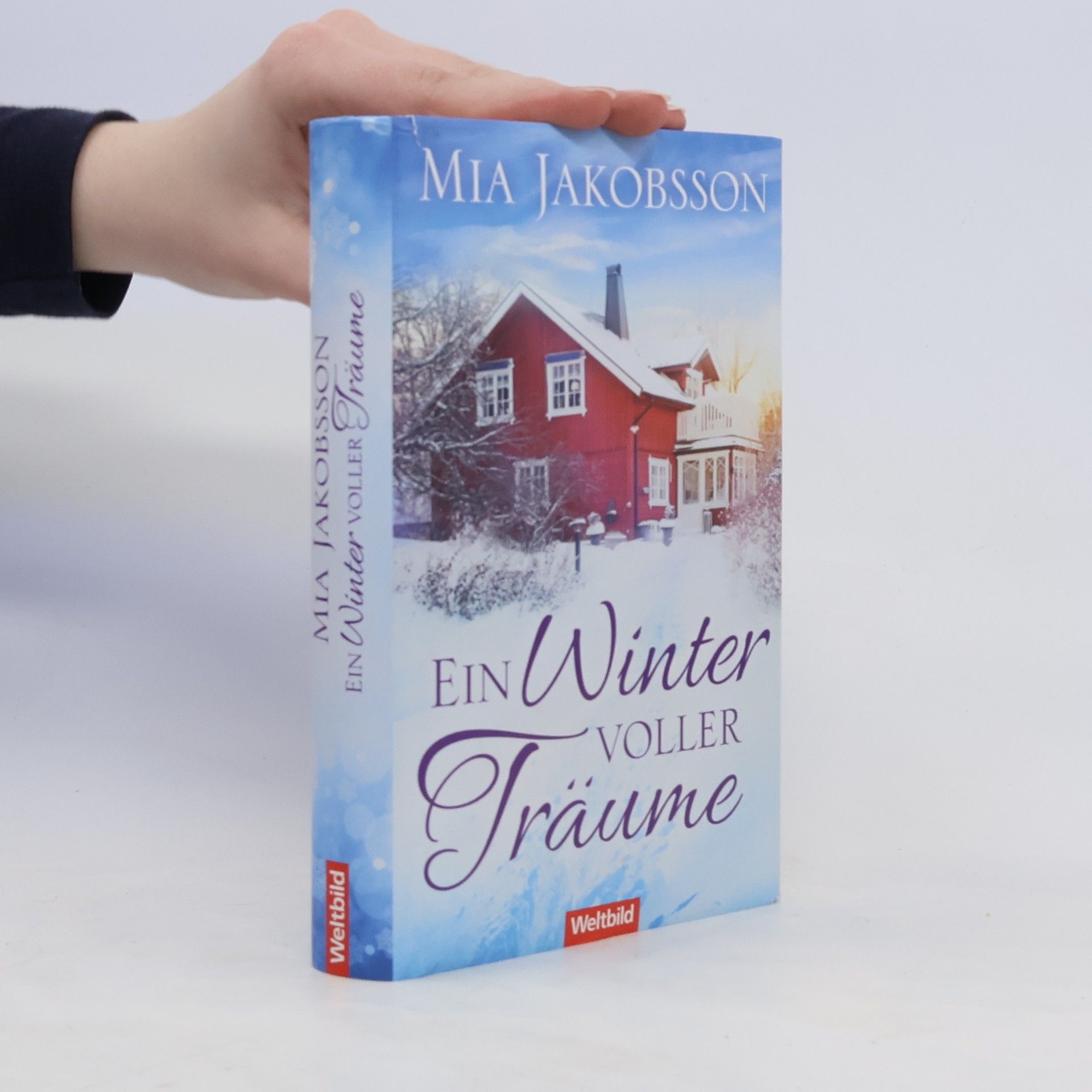 Mia Jakobsson Ein Winter voller Träume