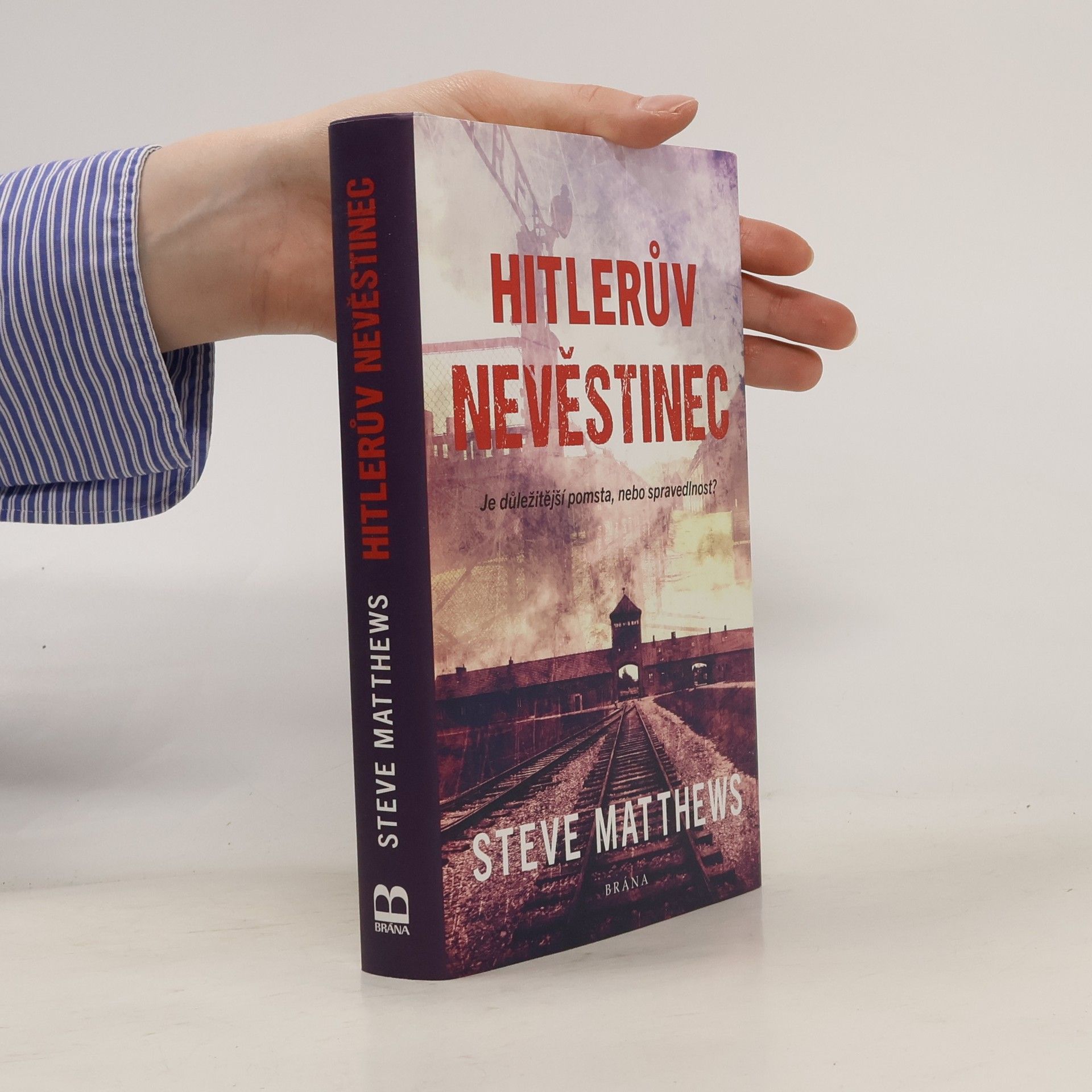 Steve Matthews Hitlerův nevěstinec : je důležitější pomsta, nebo spravedlnost?