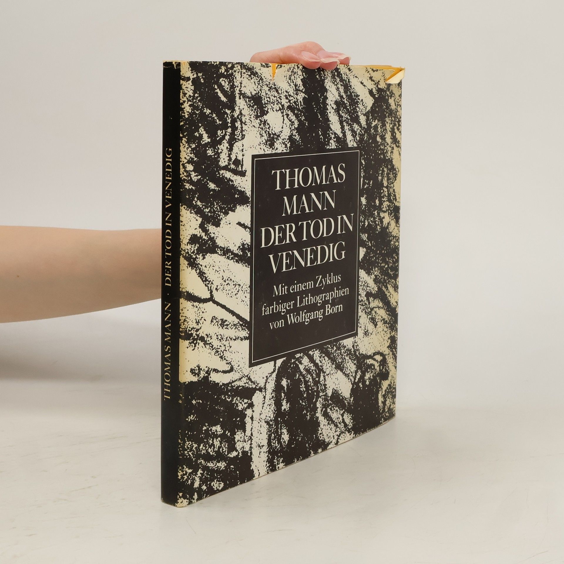 Thomas Mann Der Tod in Venedig