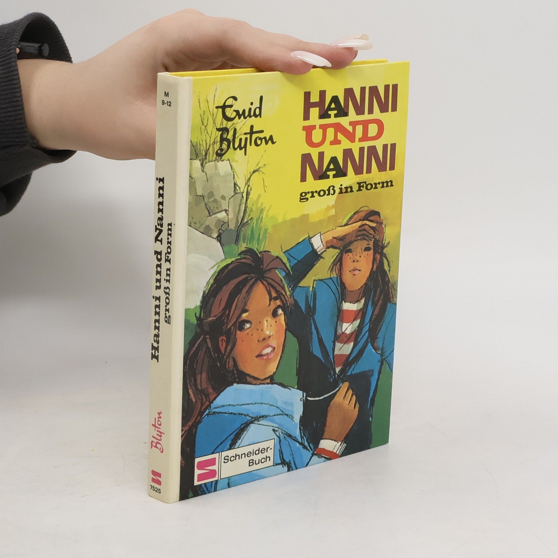 Enid Blyton Hanni und Nanni groß in Form