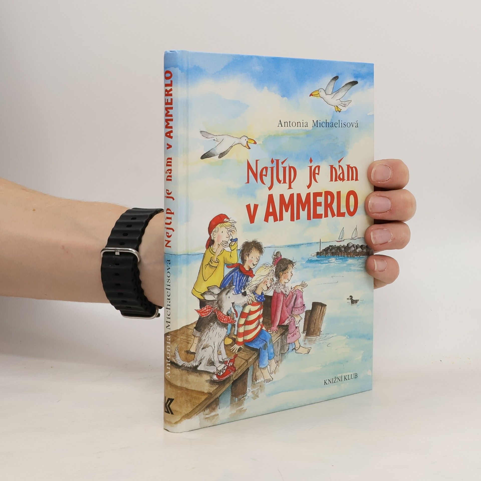 Antonia Michaelis Nejlíp je nám v Ammerlo