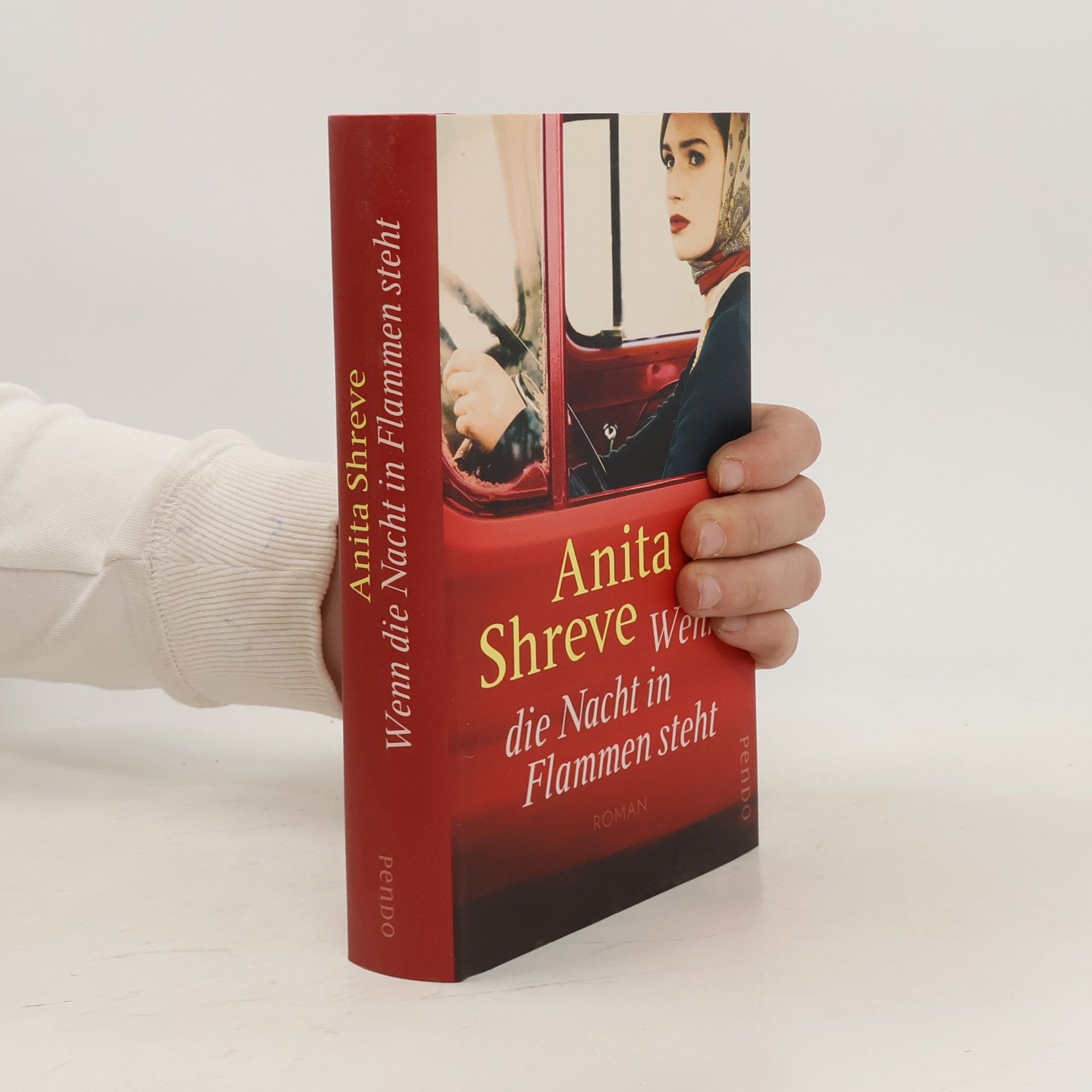 Anita Shreve Wenn die Nacht in Flammen steht