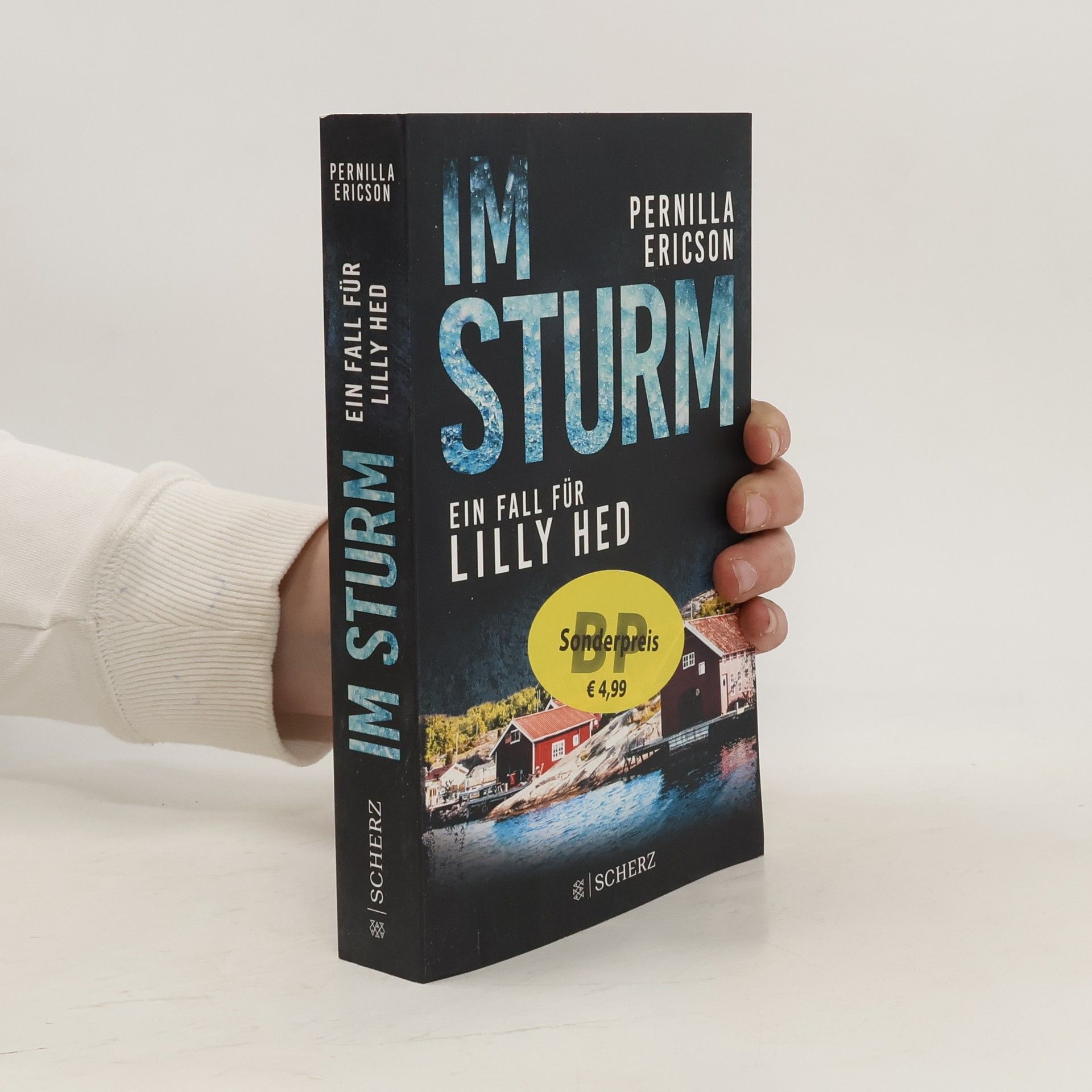 Pernilla Ericson Im Sturm