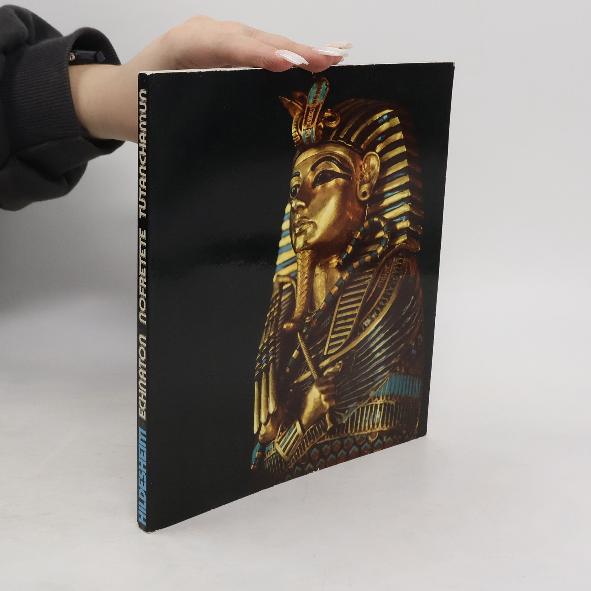Arne Eggebrecht Echnaton, Nofretete, Tutanchamun
