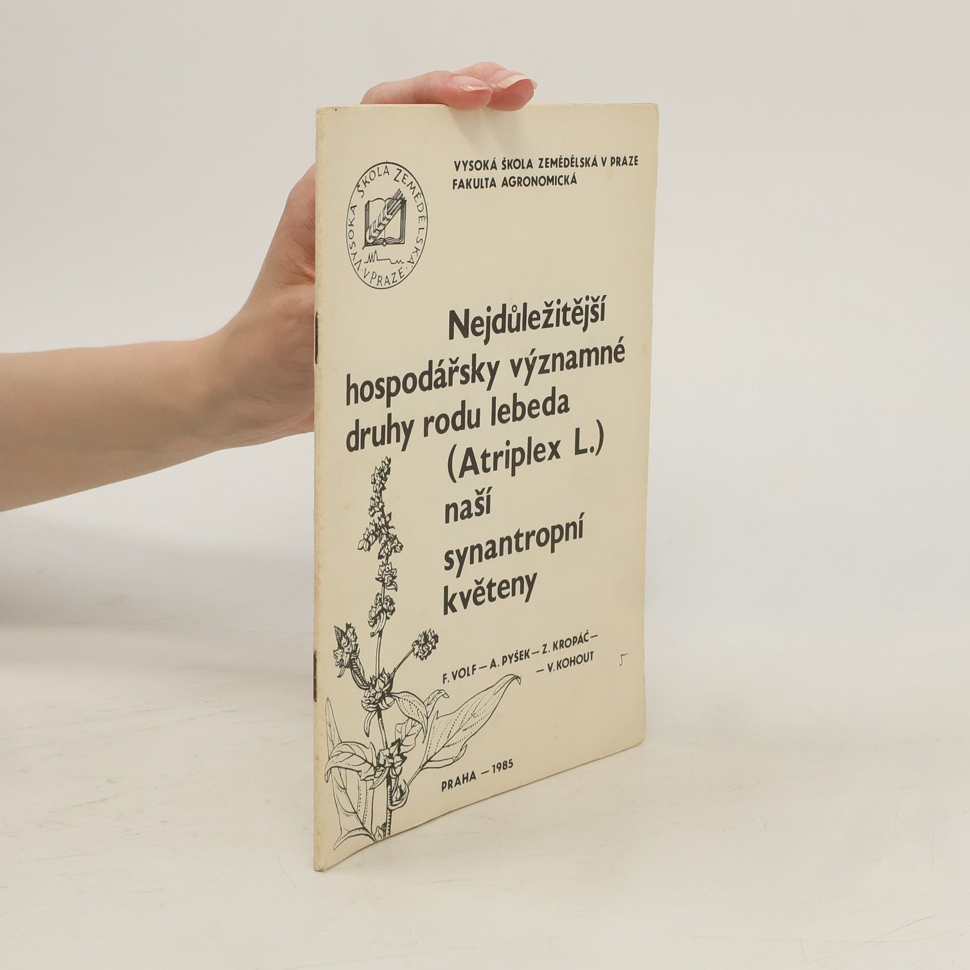 F. Volf Nejdůležitější hospodářsky významné druhy rodu lebeda (Atriplex L.) naší synantropní květeny