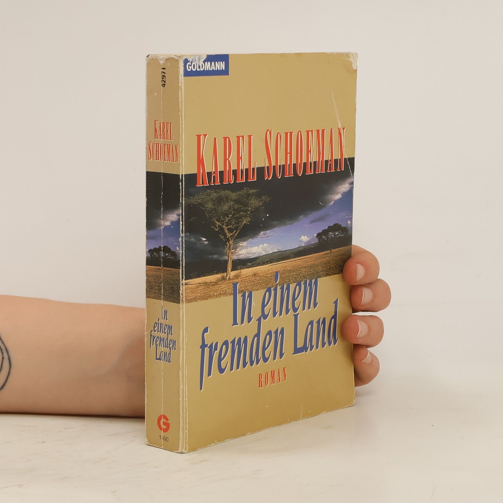 Karel Schoeman In einem fremden Land