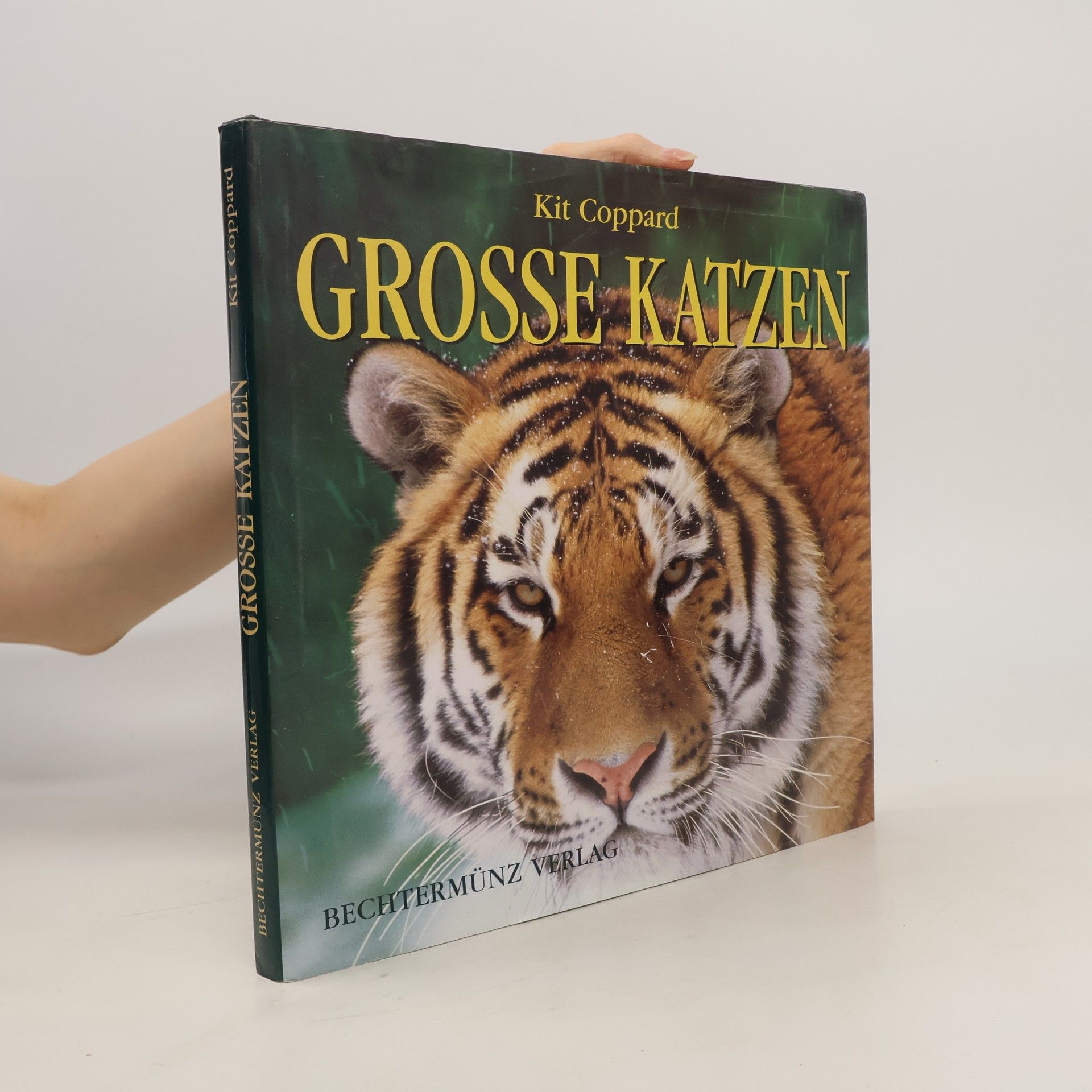 Kit Coppard Grosse Katzen
