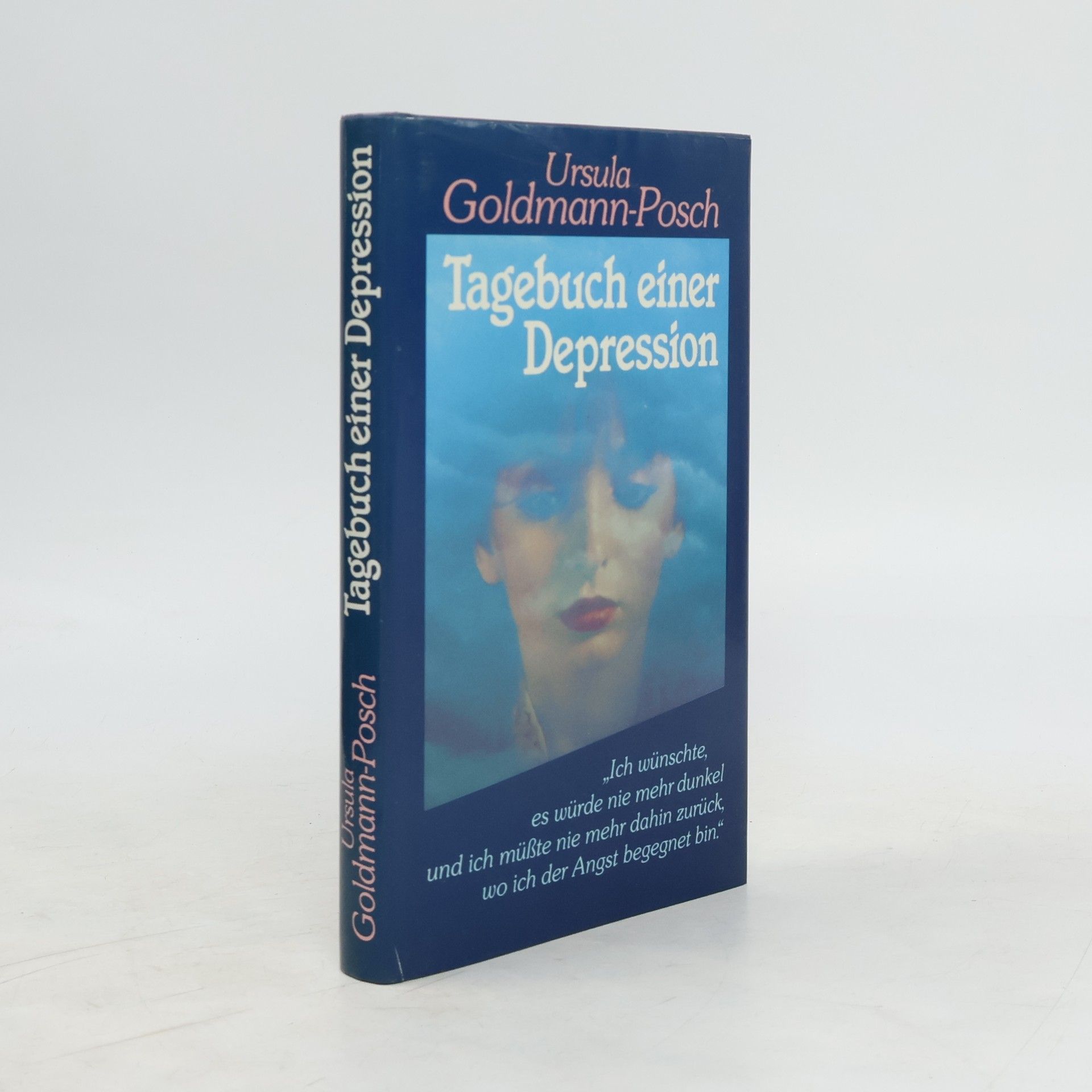 Ursula Goldmann-Posch Tagebuch einer Depression