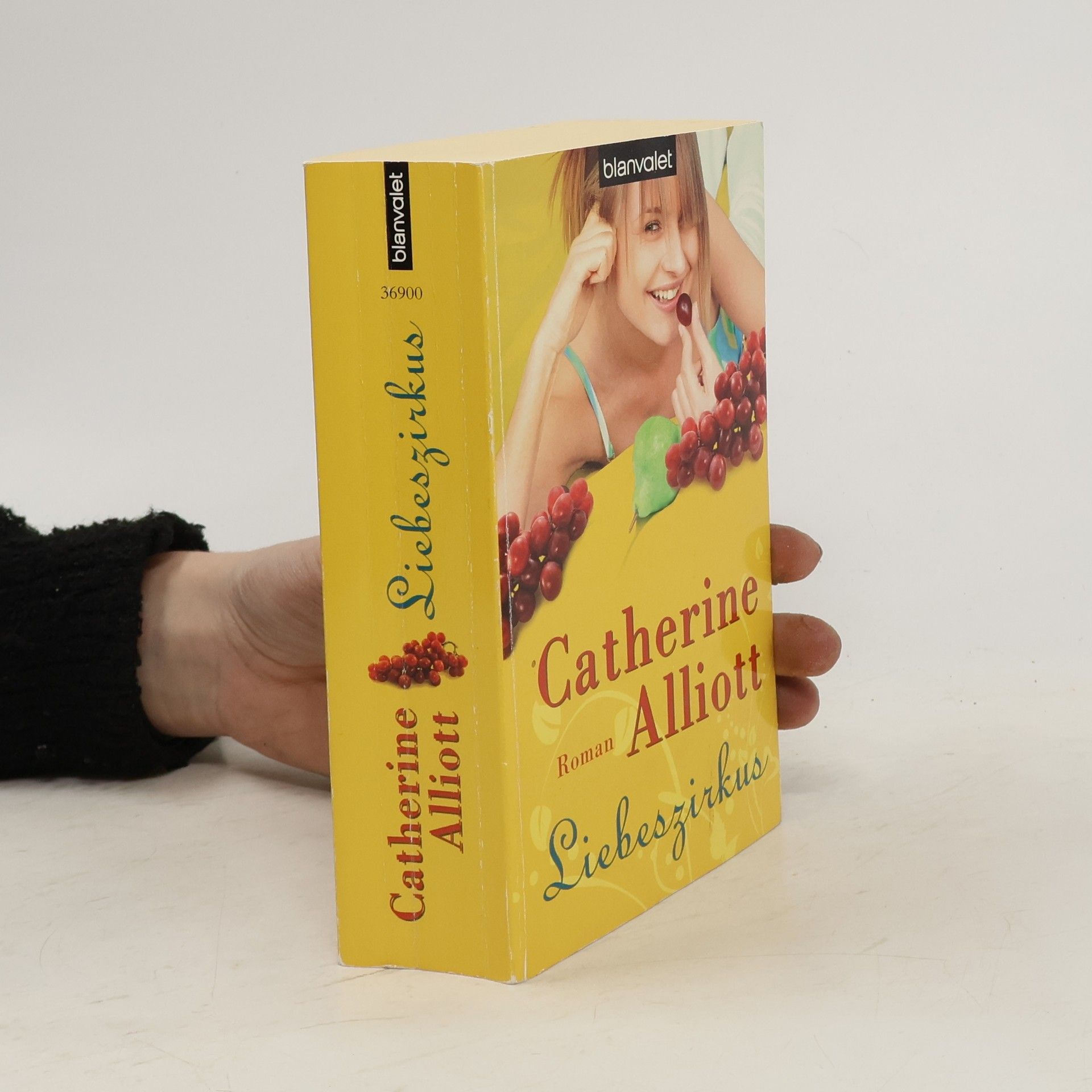 Catherine Alliott Liebeszirkus