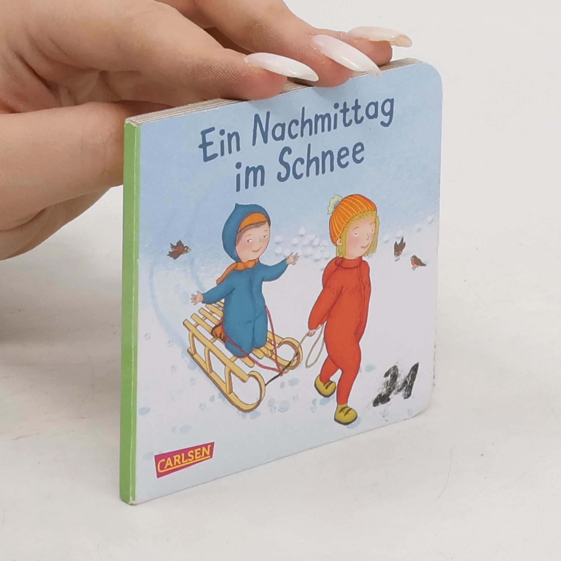 AA.VV. Ein Nachmittag im Schnee