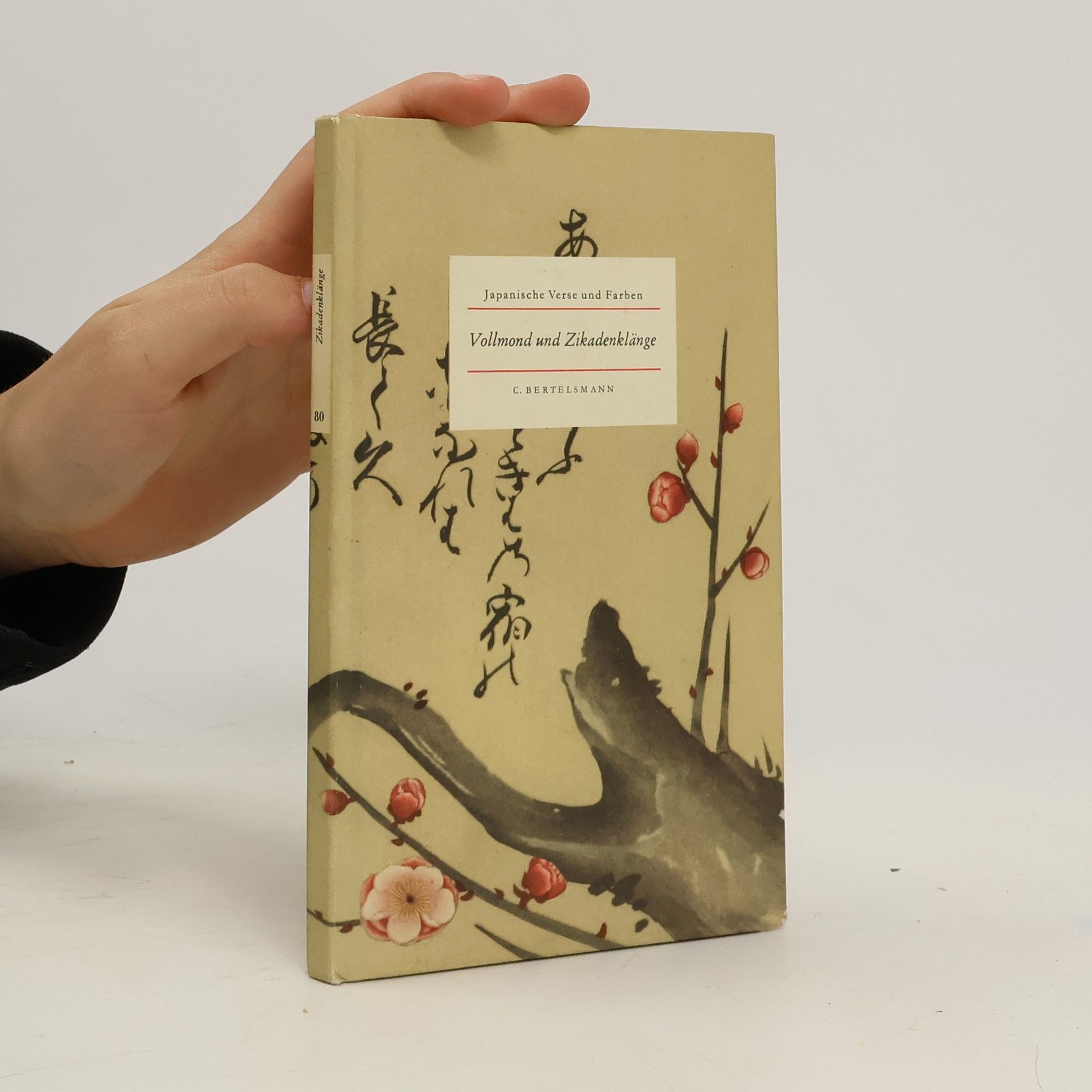 Auteurscollectief Vollmond und Zikadenklänge