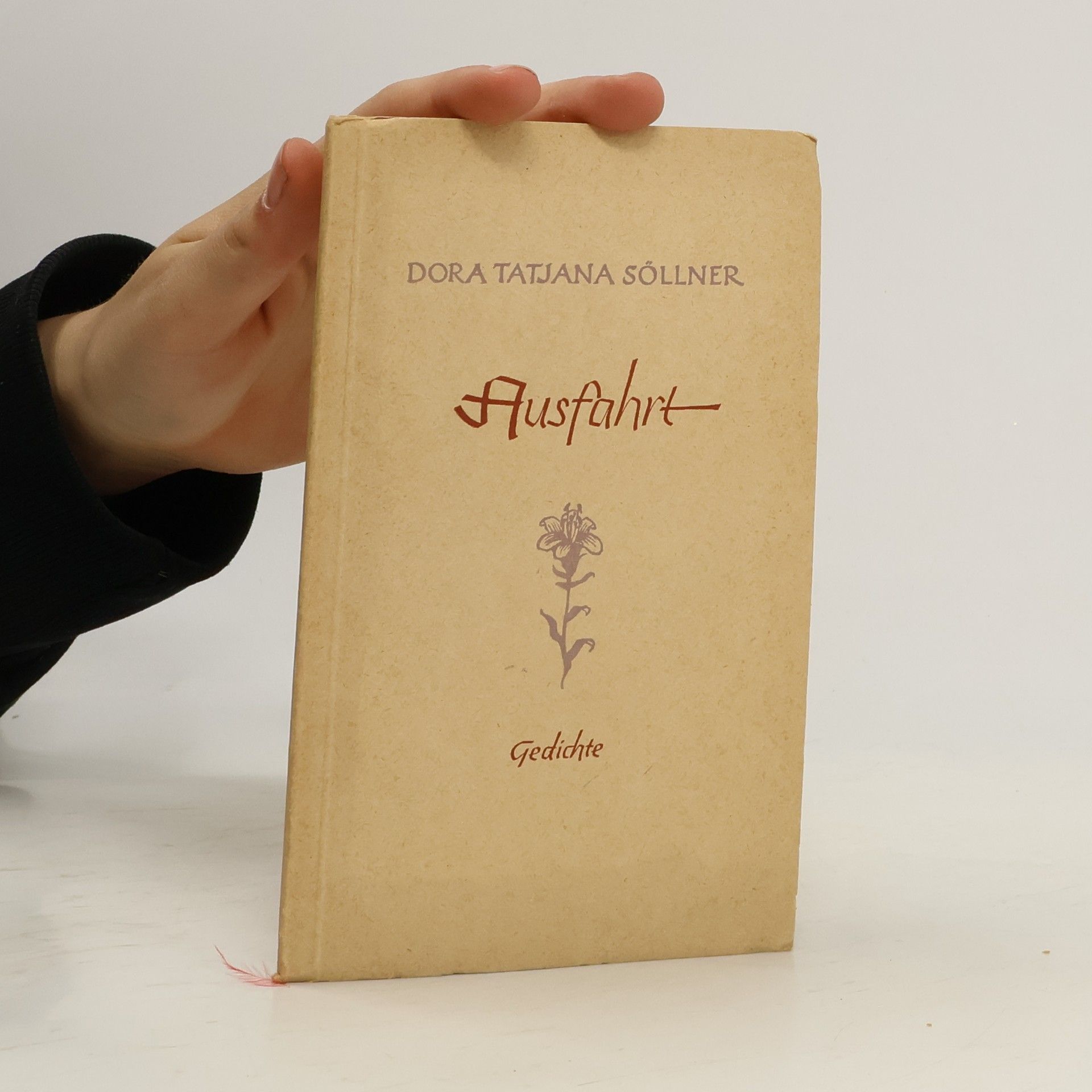 Dora Tatjana Söllner Ausfahrt