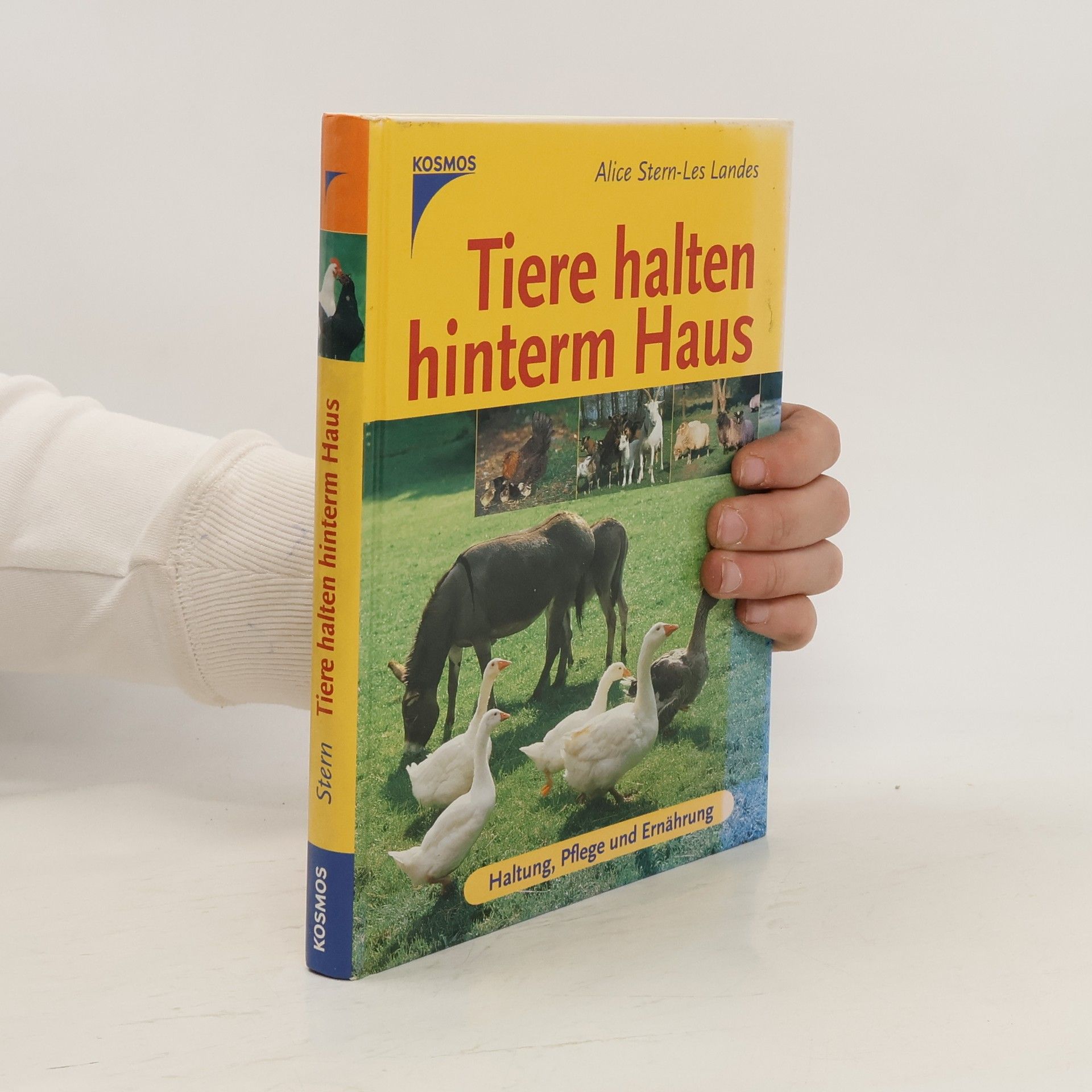 Alice Stern-Les Landes Tiere halten hinterm Haus