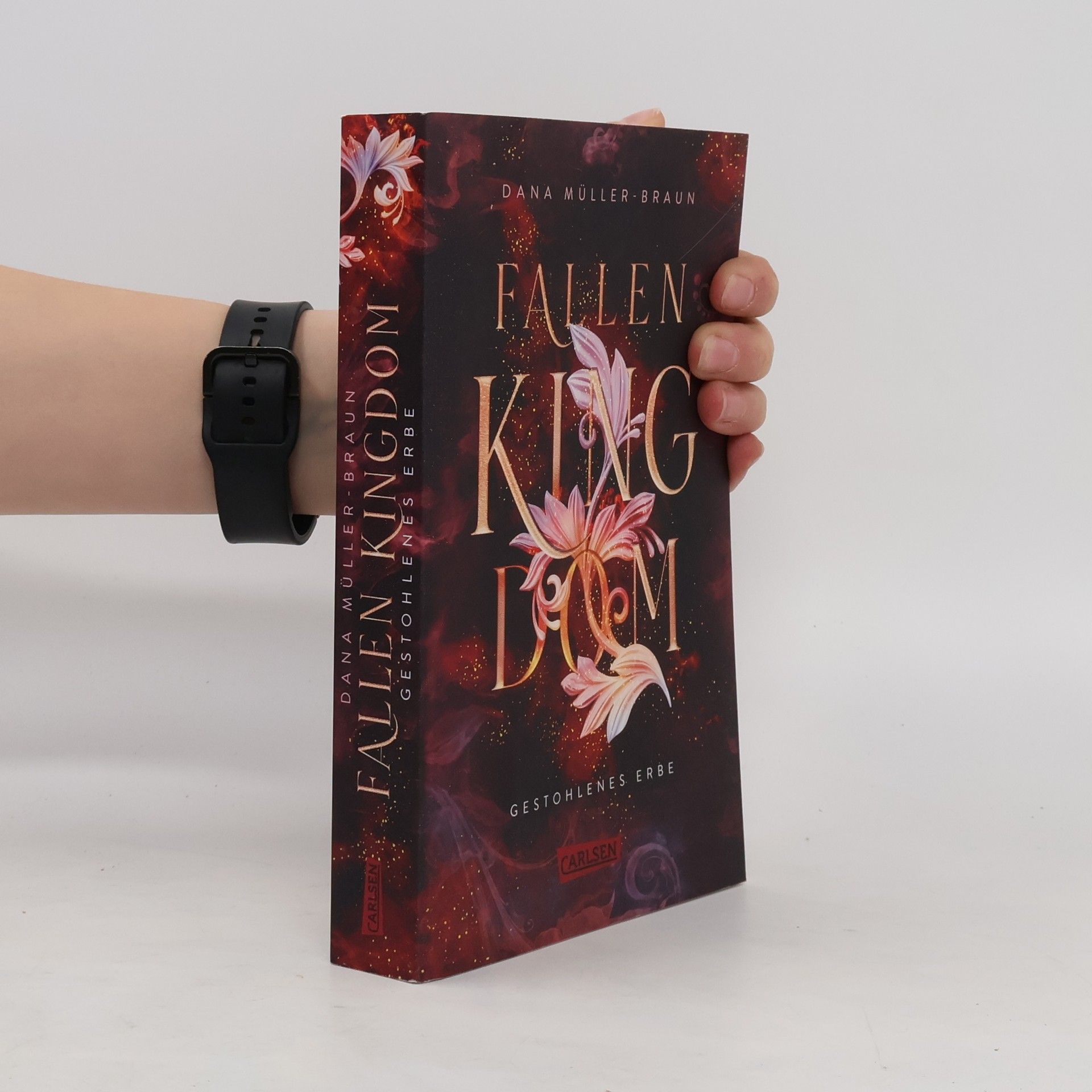Dana Müllerová Fallen Kingdom 1: Gestohlenes Erbe