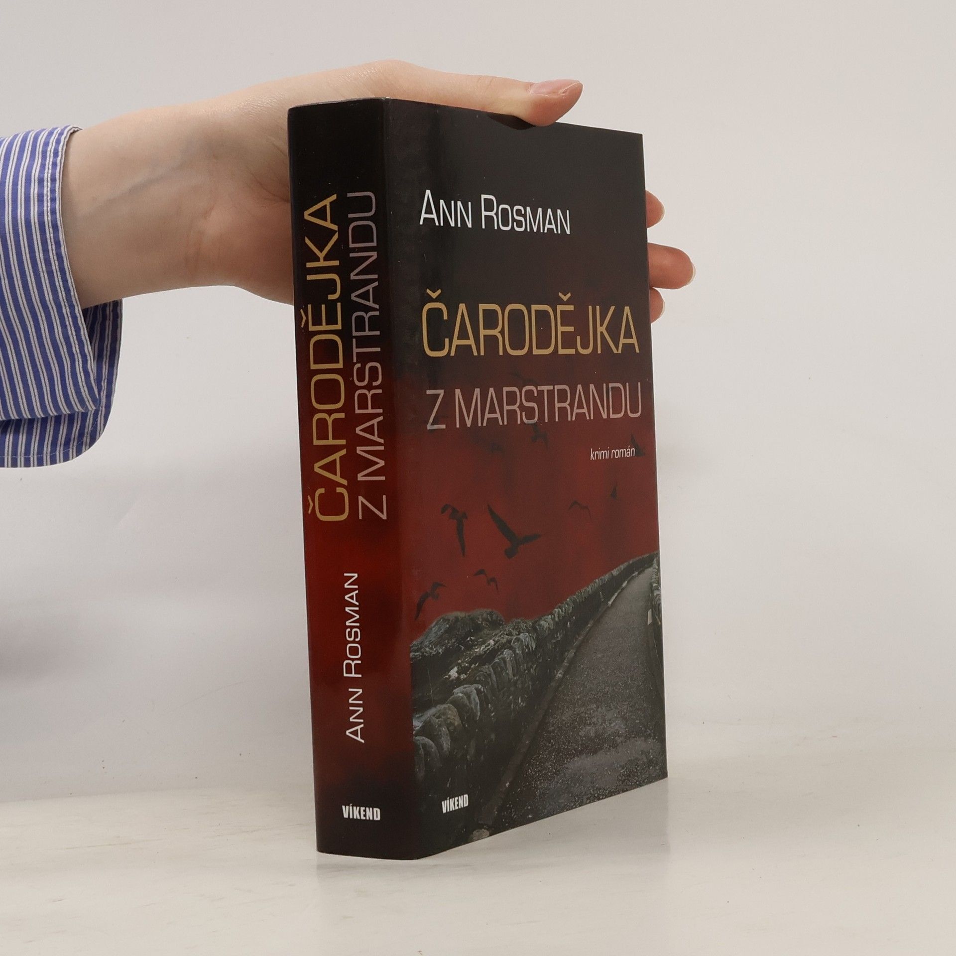 Ann Rosman Čarodějka z Marstrandu