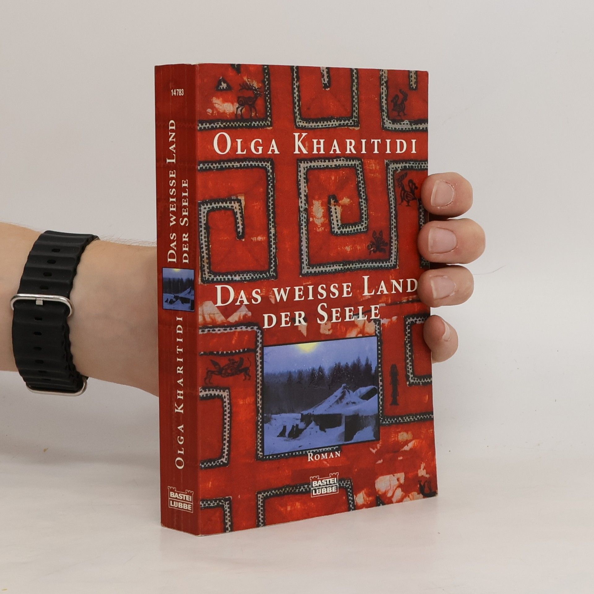 Olga Kharitidi Das weiße Land der Seele