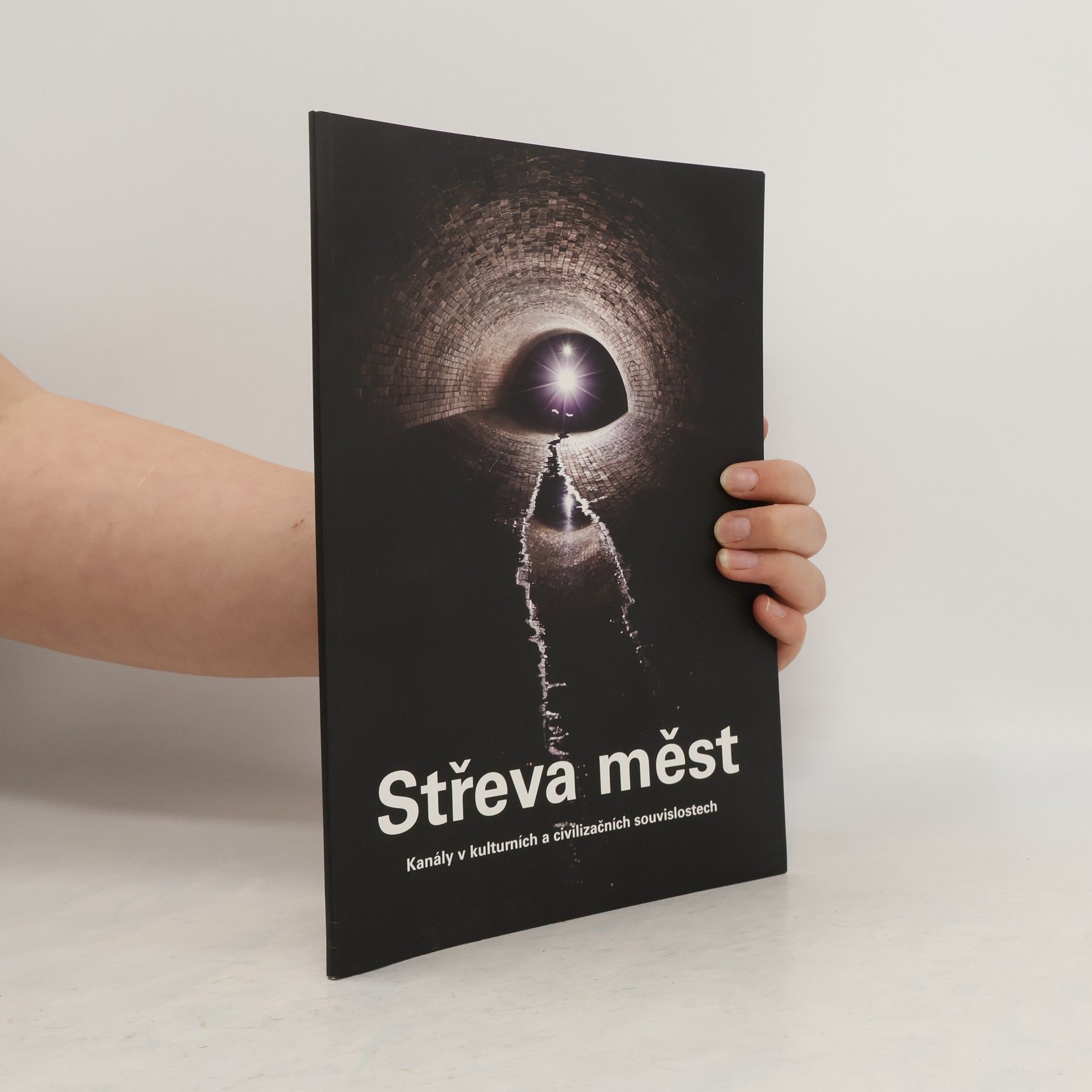 Michal Janata Střeva měst