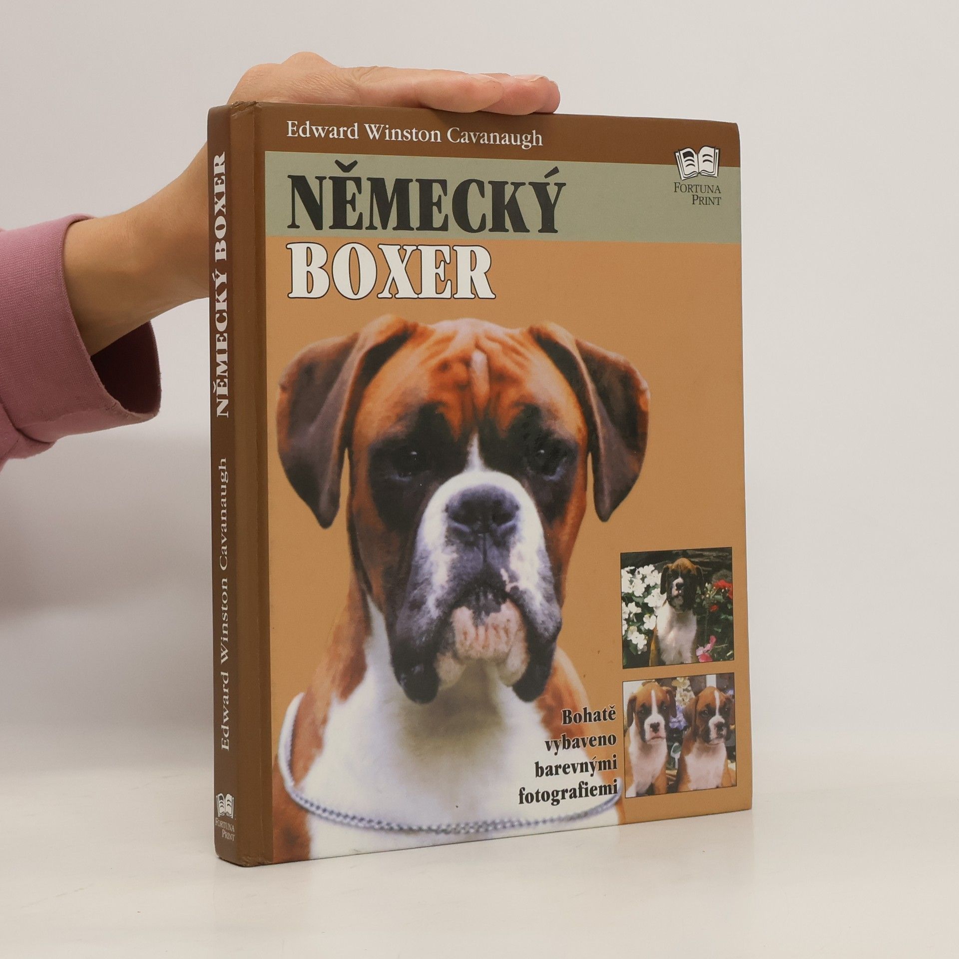 Edward Winston Cavanaugh Německý boxer