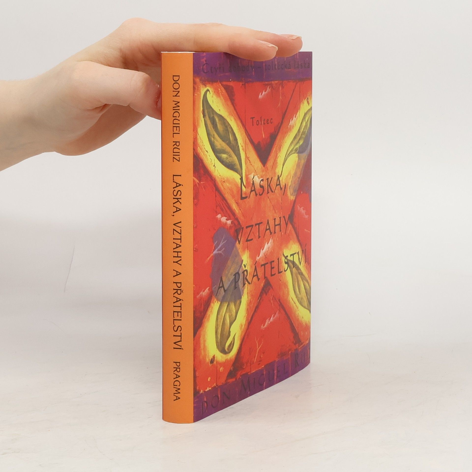 Don Miguel Ruiz Láska, vztahy a přátelství