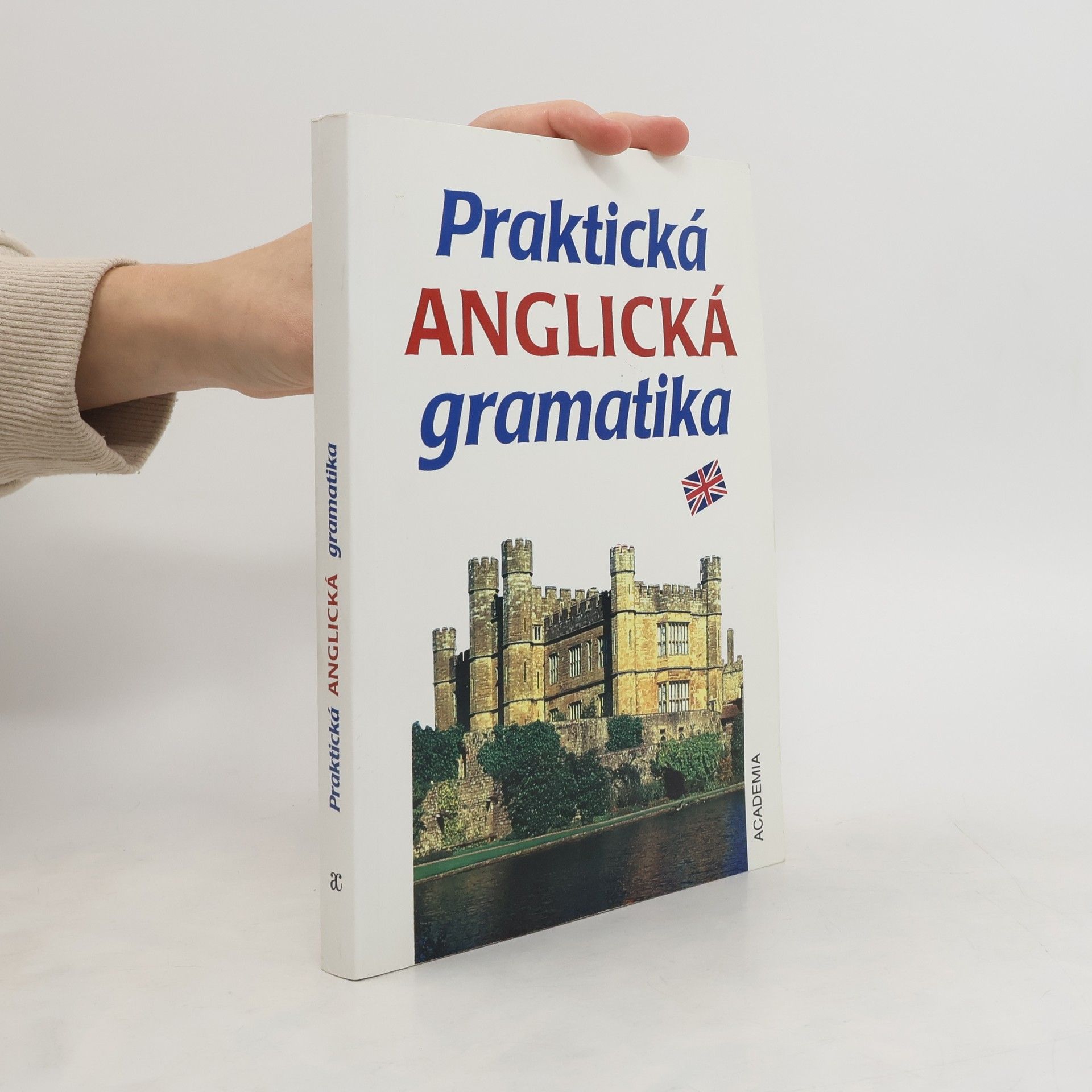Elżbieta Mańczak Wohlfeld Praktická anglická gramatika