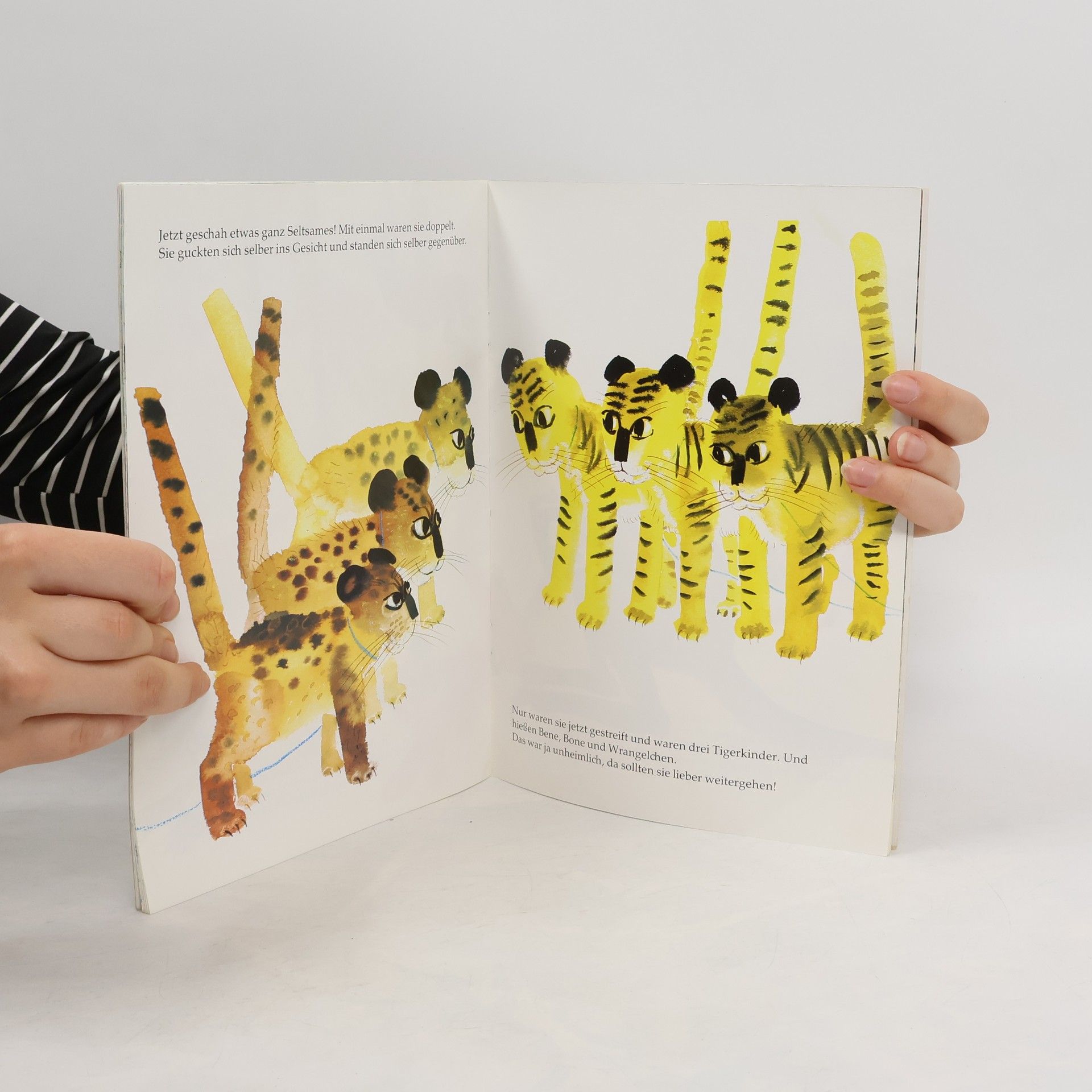 Autorenkollektiv Die Löwenkinder