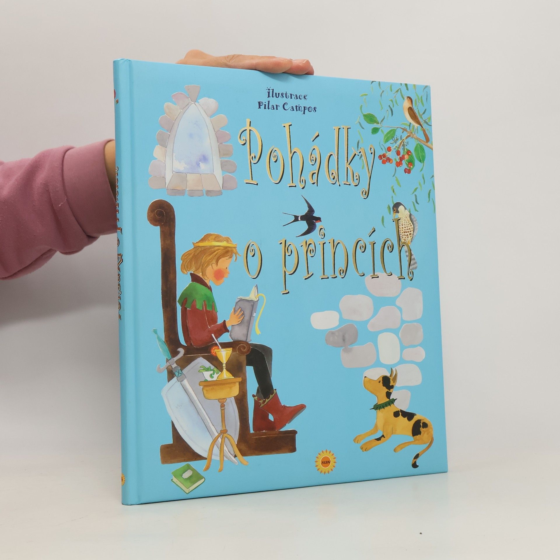 Celia Ruiz Ibáńez Pohádky o princích
