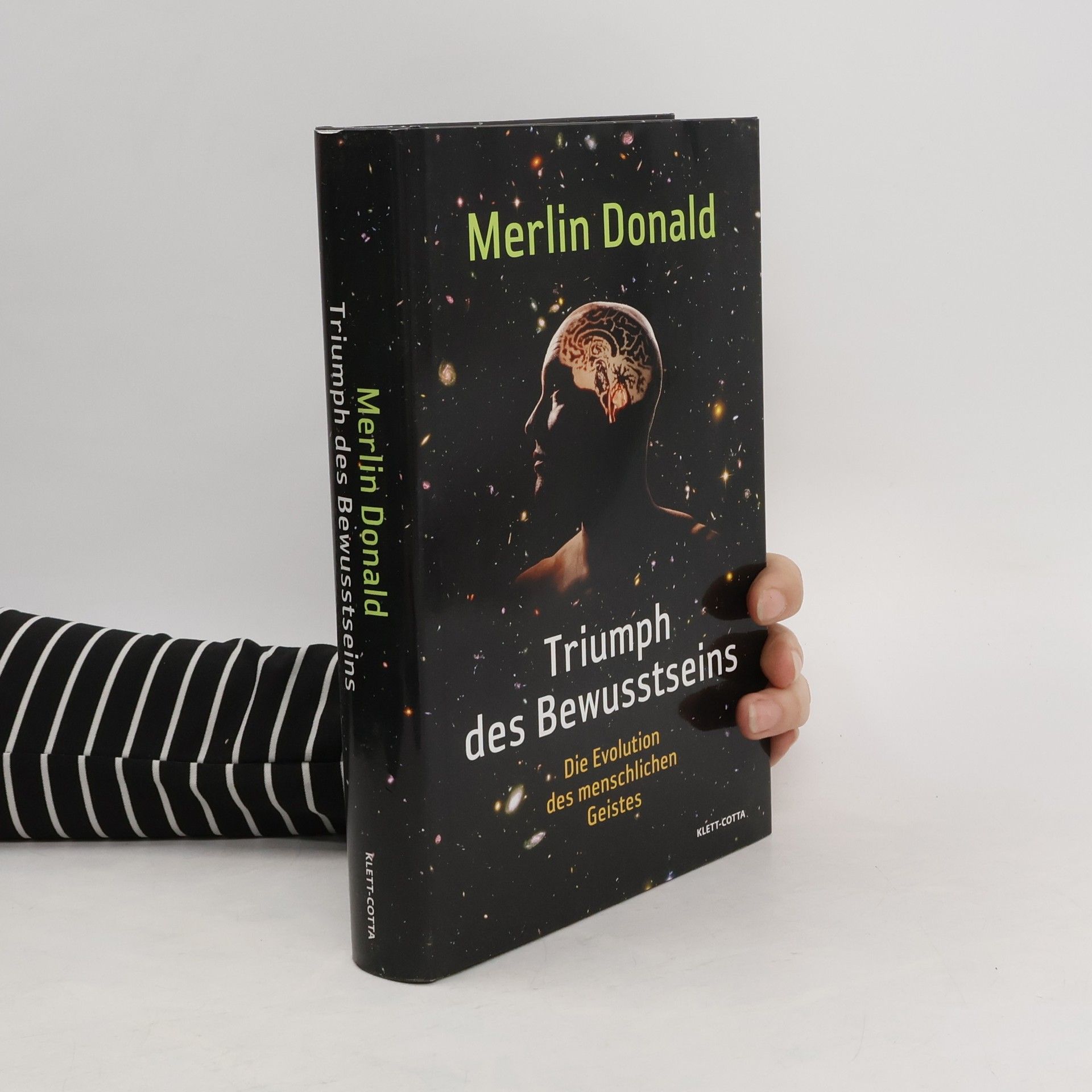Merlin Donald Triumph des Bewusstseins