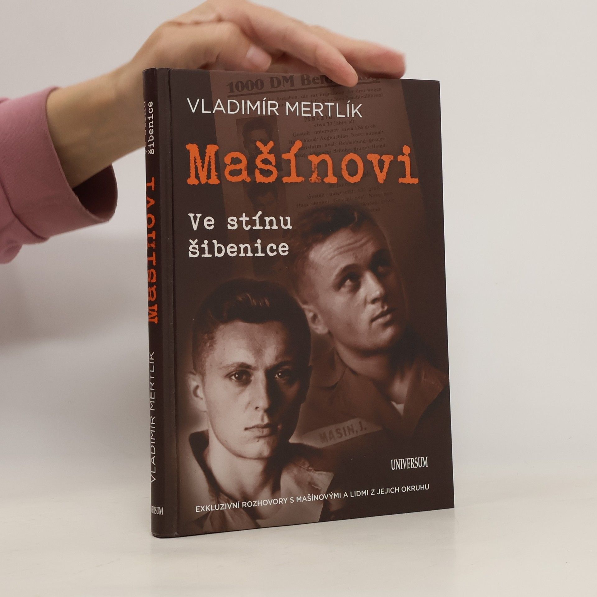 Vladimír Mertlík Mašínovi. Ve stínu šibenice