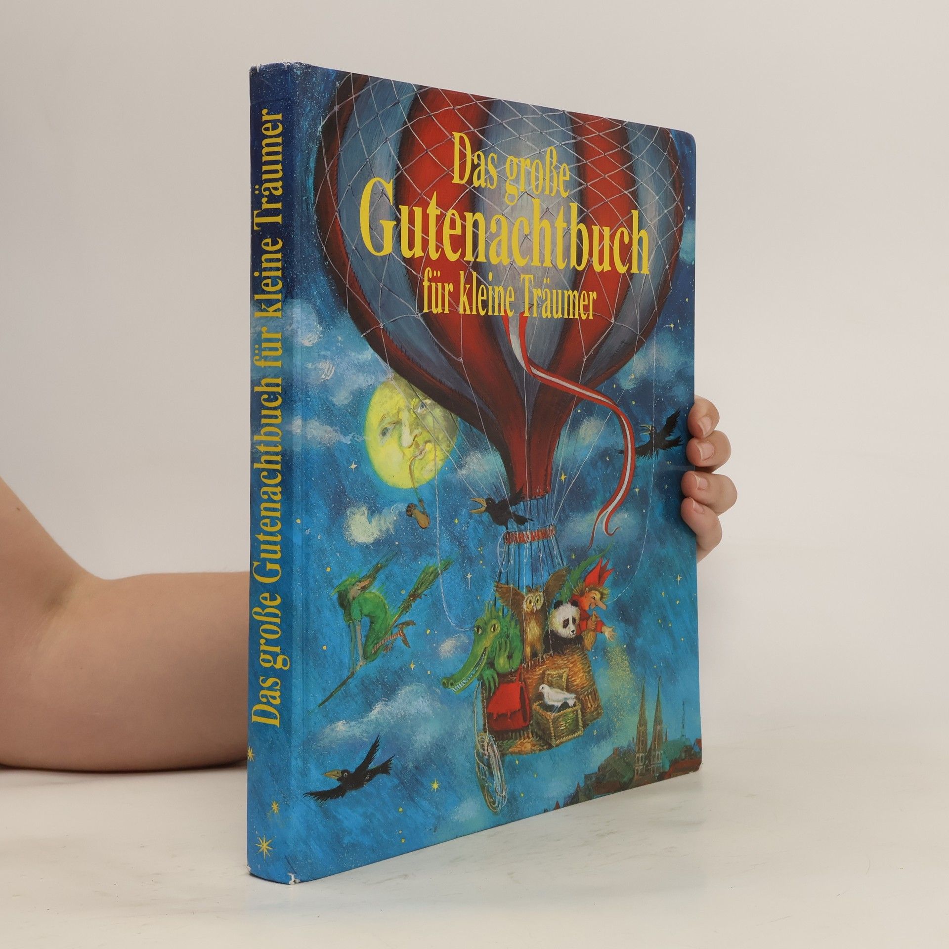 Waltraud Still Das grosse Gutenachtbuch für kleine Träumer