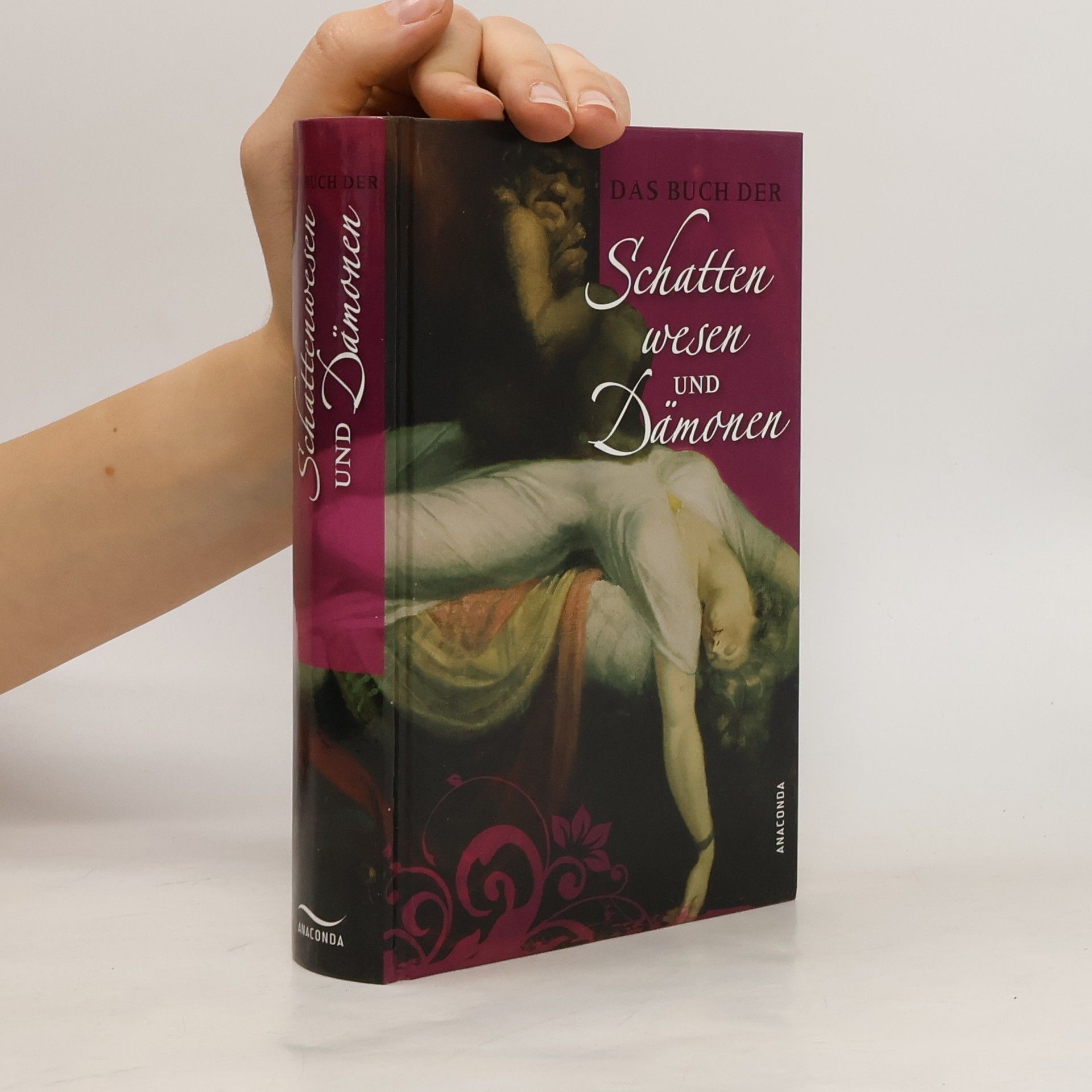 Bertram Kircher Das Buch der Schattenwesen und Dämonen