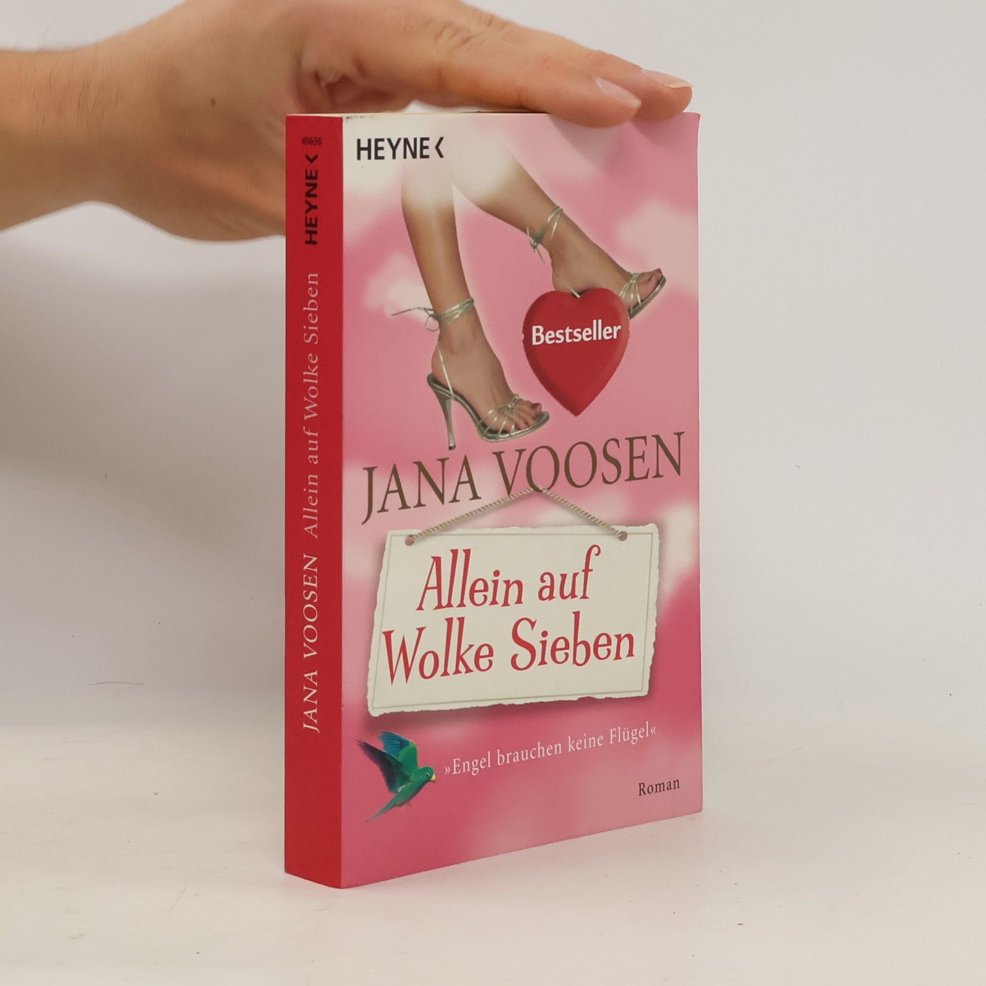 Jana Voosen Allein auf Wolke sieben