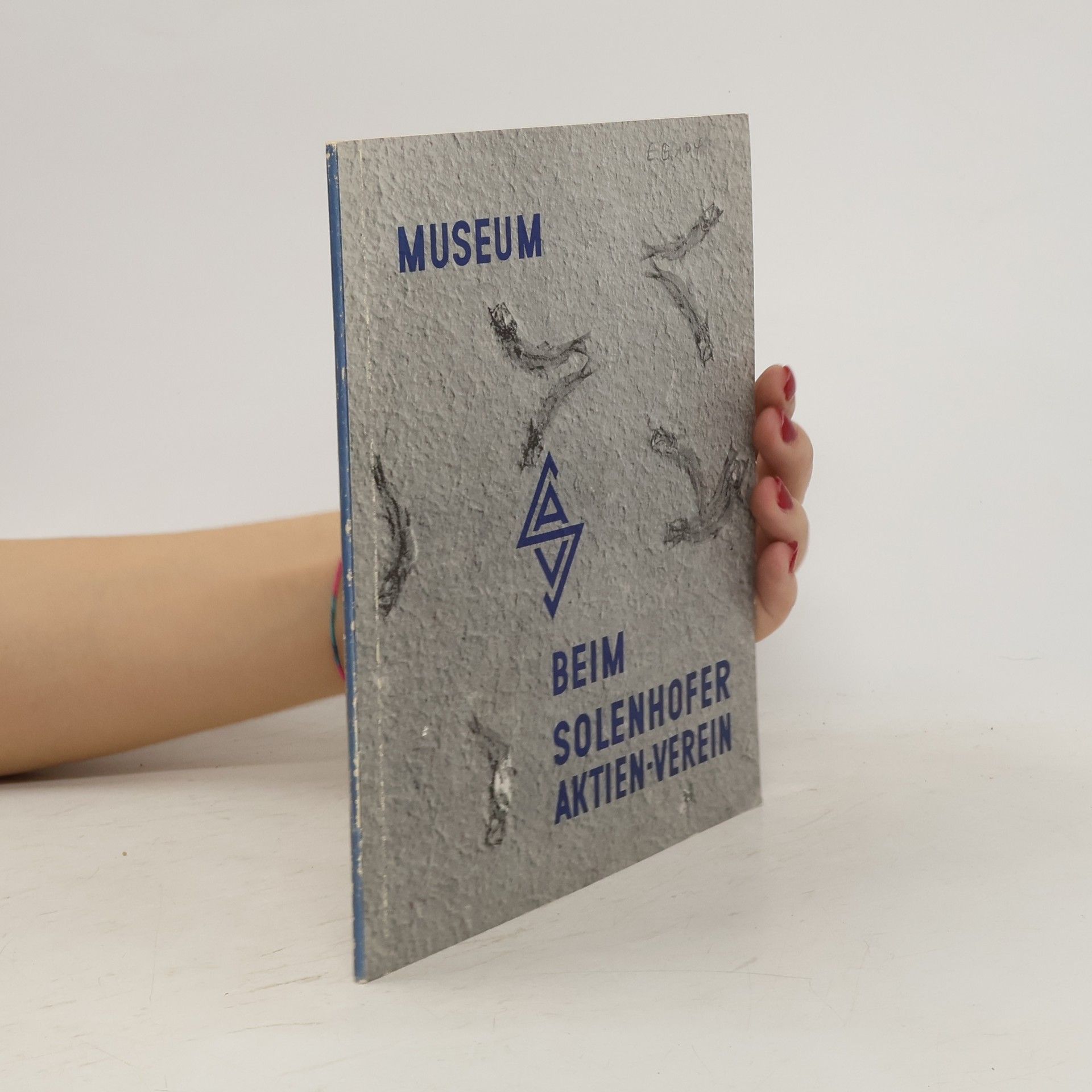 Kolektiv autorů Museum beim solenhofer aktien-verein