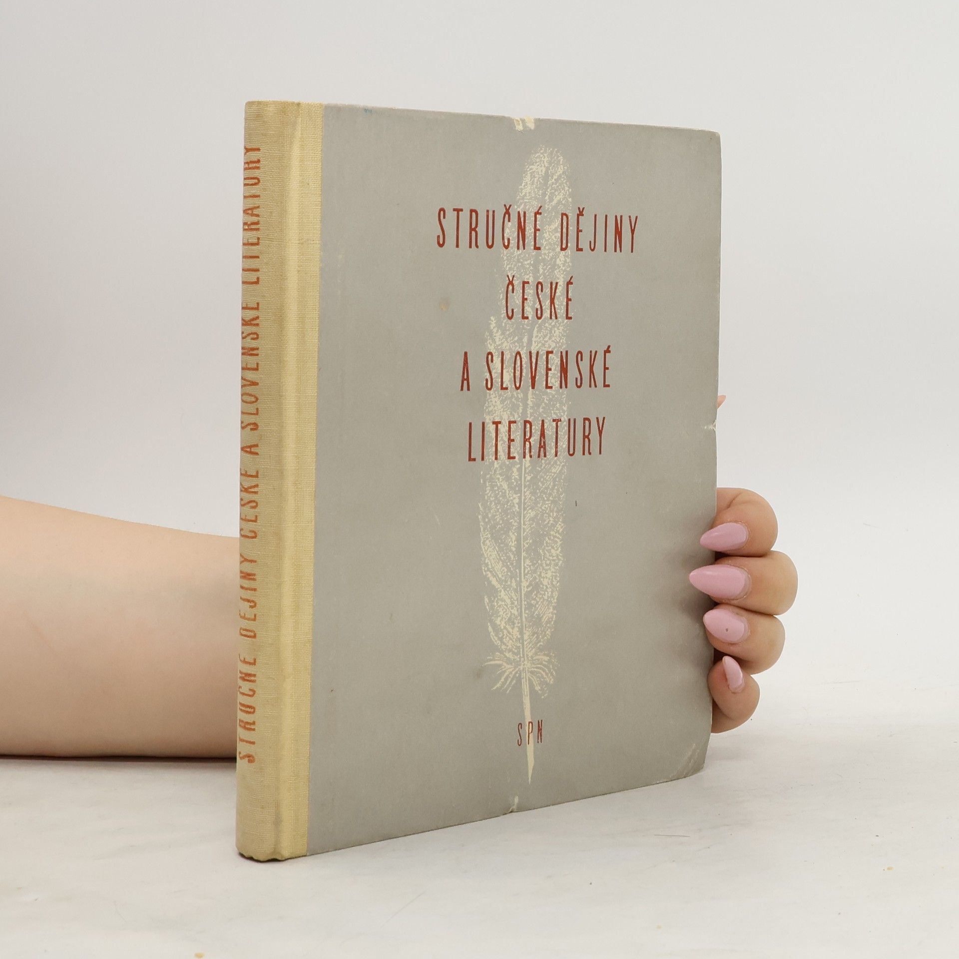 Vítězslav Tichý Stručné dějiny české a slovenské literatury