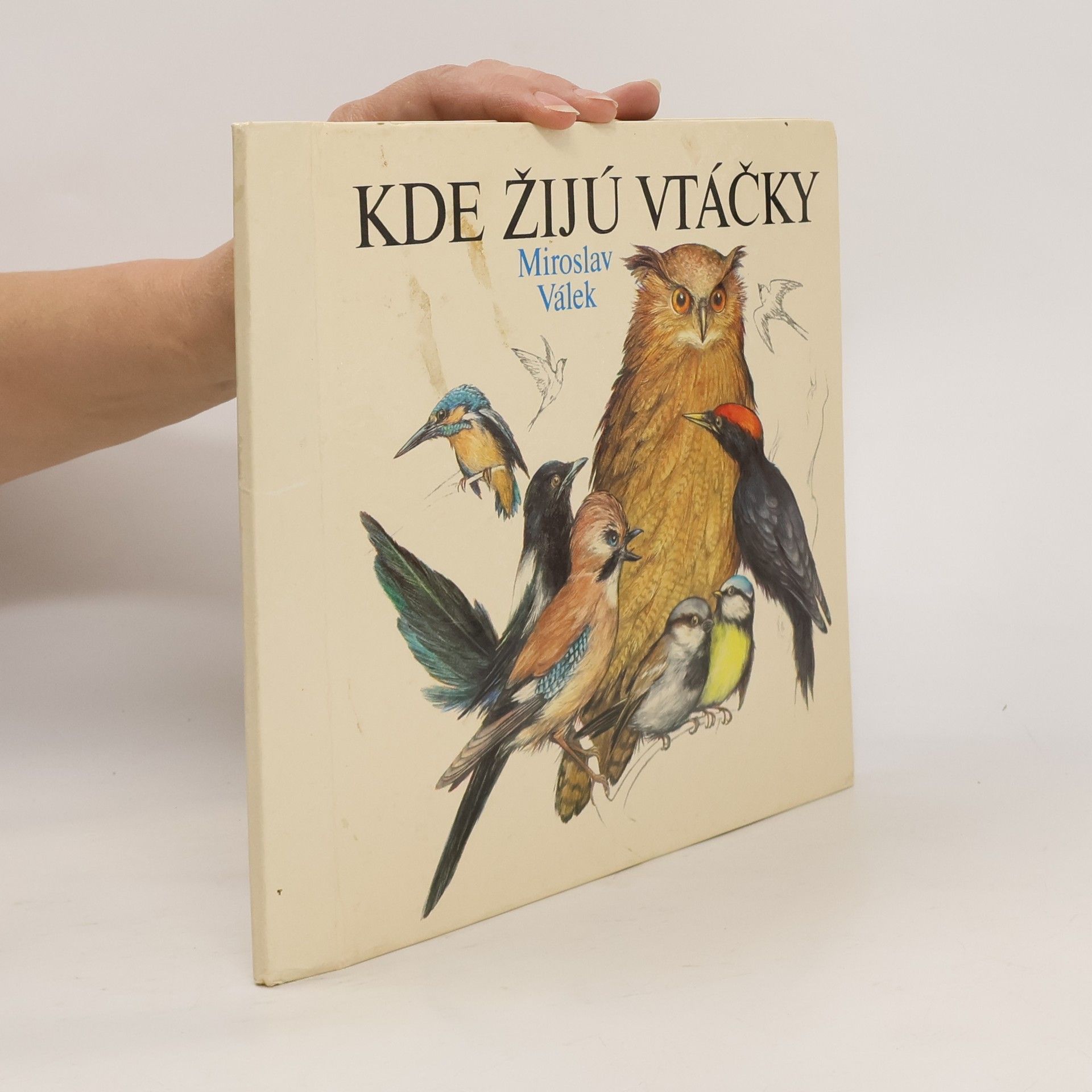 Miroslav Válek Kde žijú vtáčky