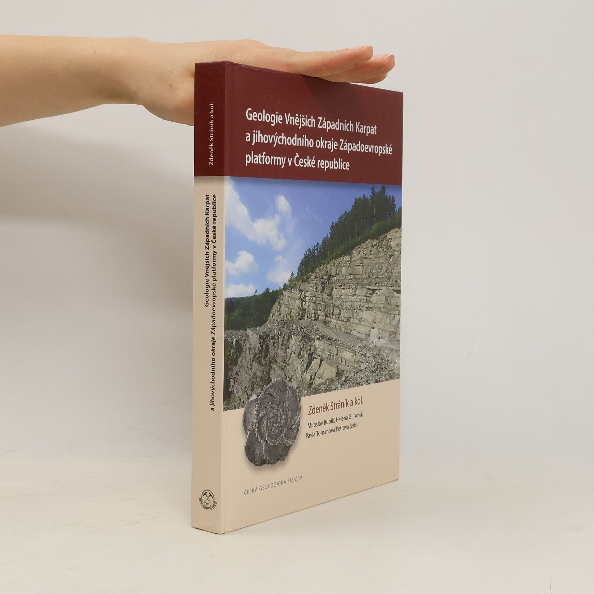 Collectif d'auteurs Geologie Vnějších Západních Karpat a jihovýchodního okraje Západoevropské platformy v České republice