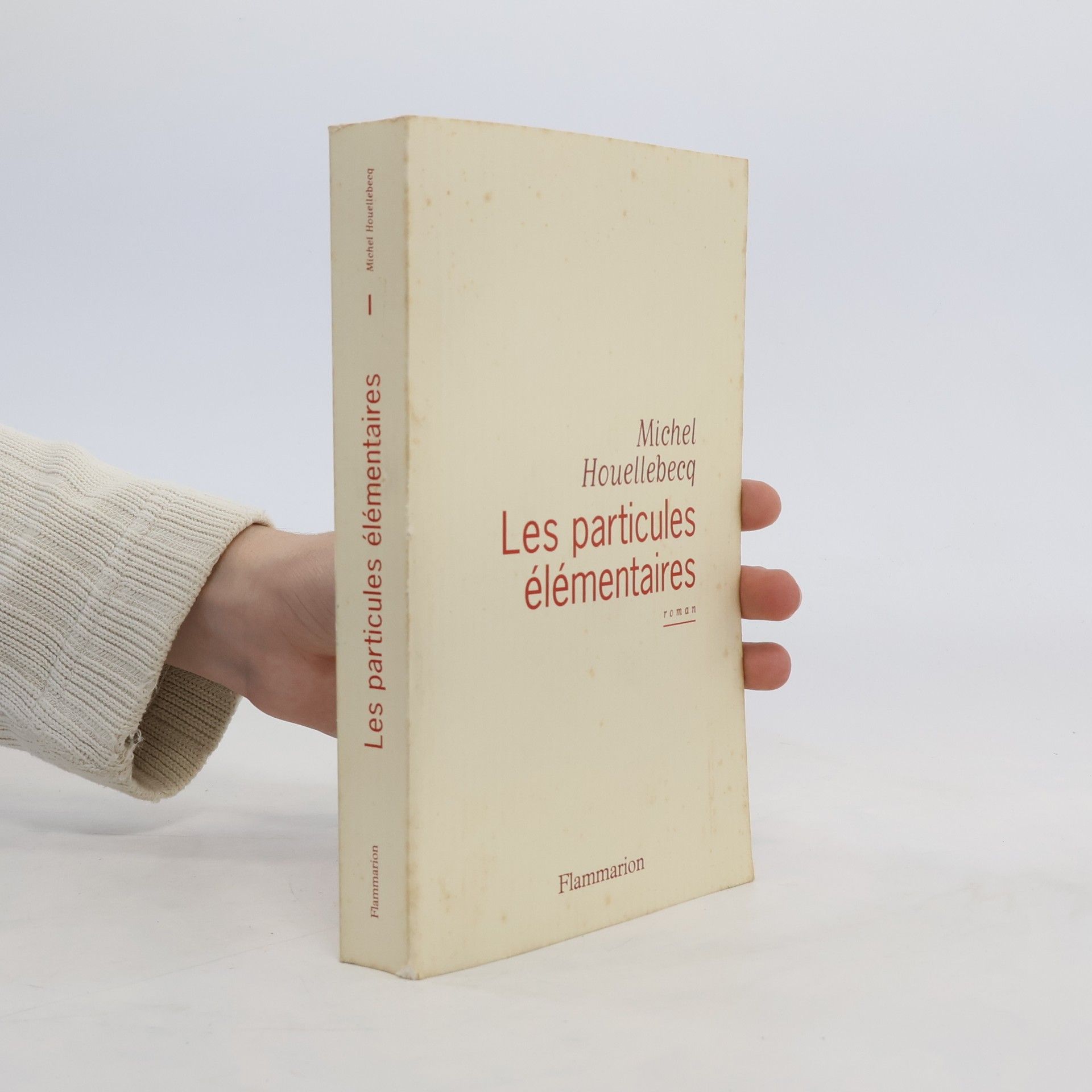 Michel Houellebecq Les particules élémentaires