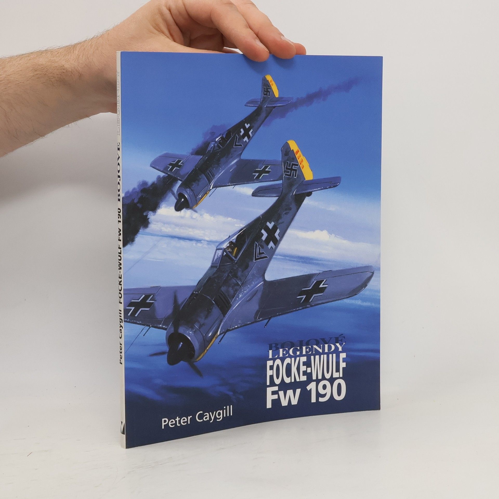 Peter Caygill Focke-Wulf Fw 190