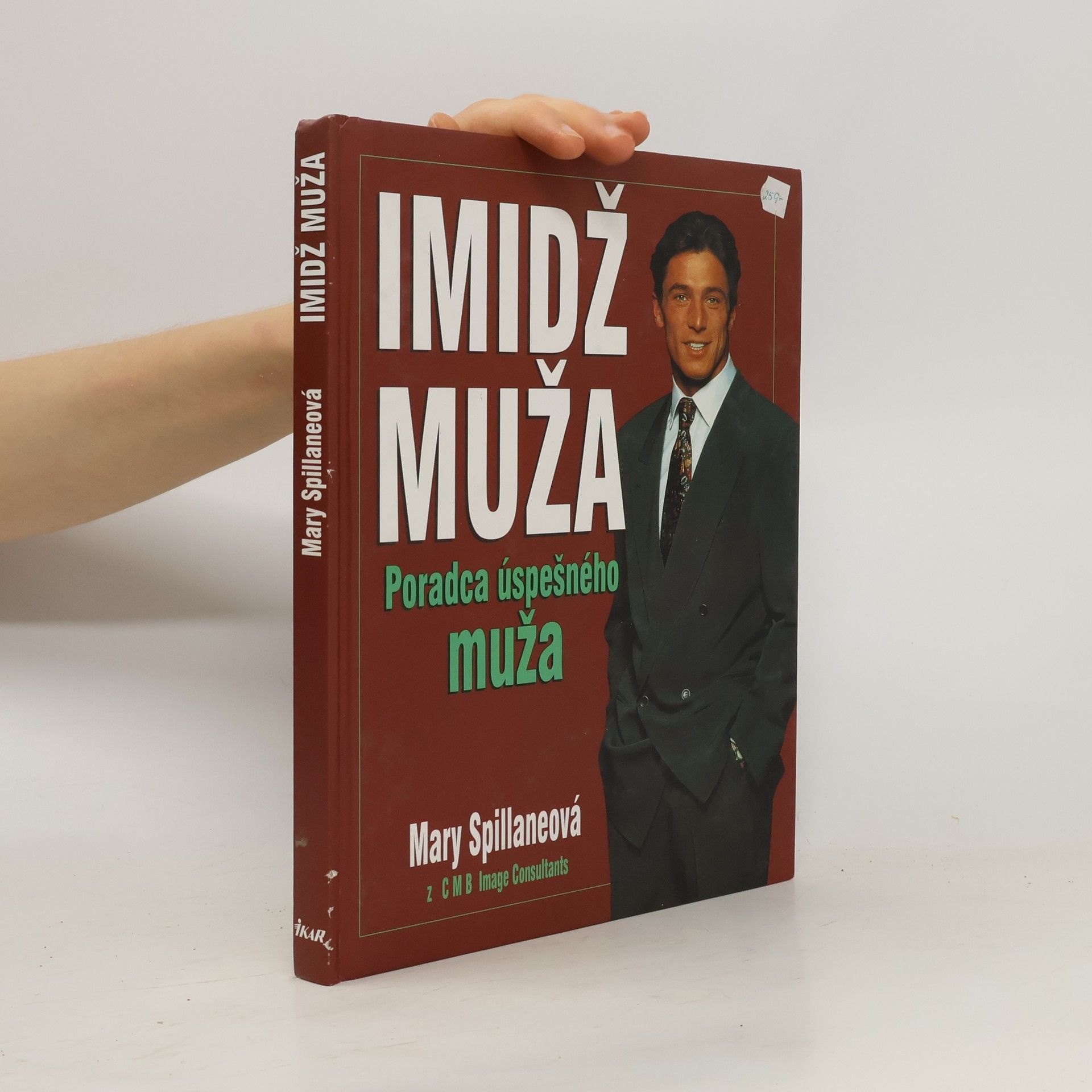 Mary Spillane Imidž muža, Poradca úspešného muža