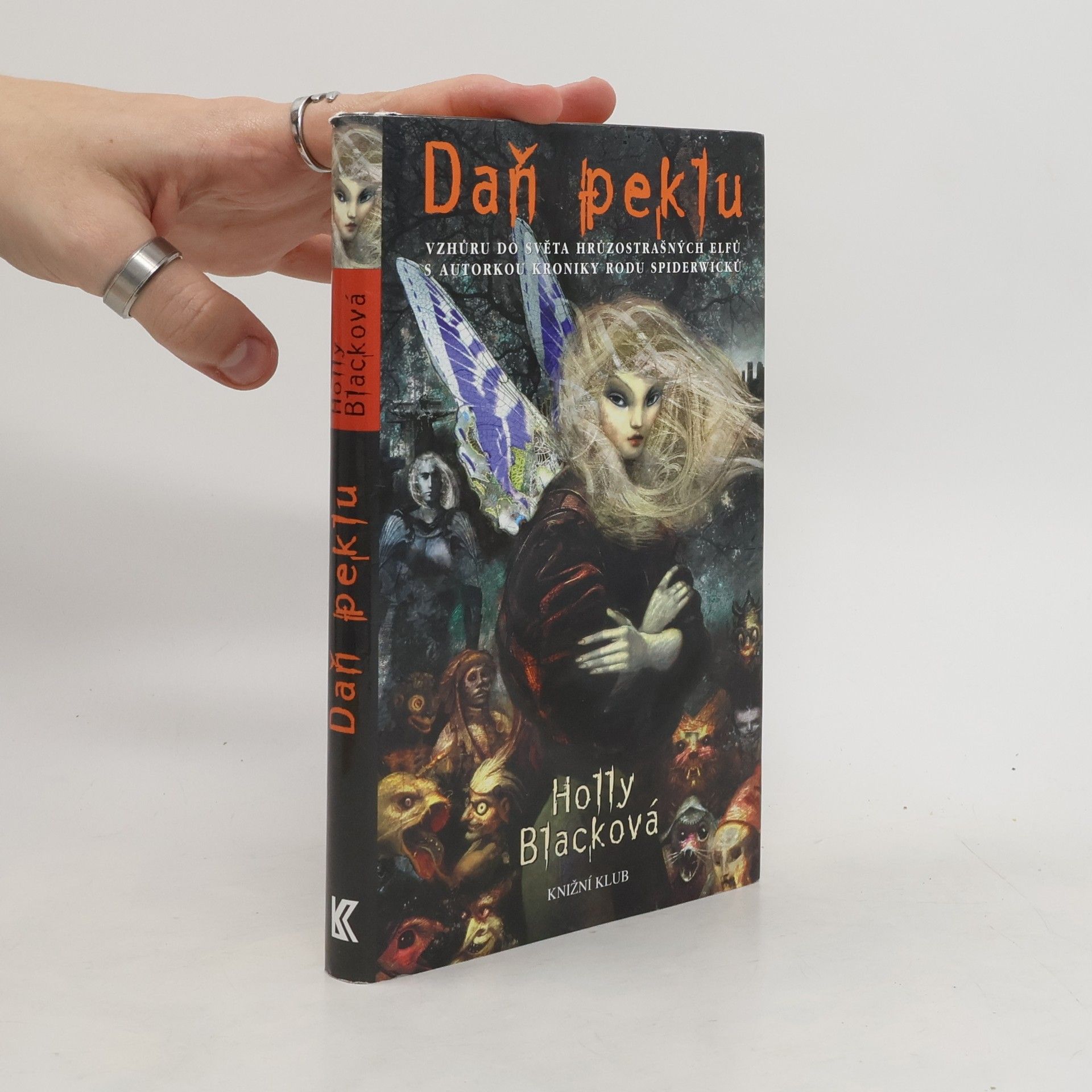 Holly Black Daň peklu