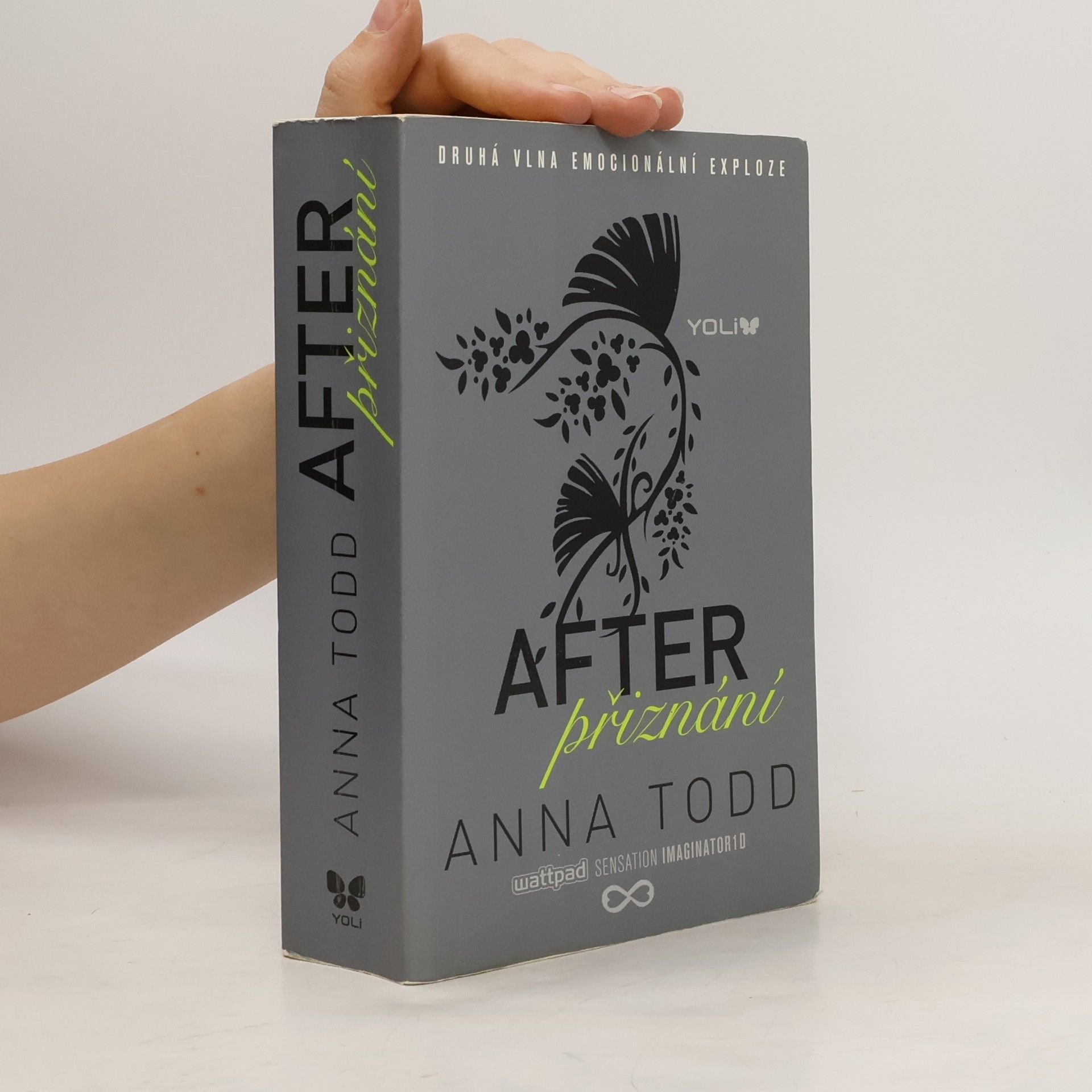 Anna Todd After. Přiznání