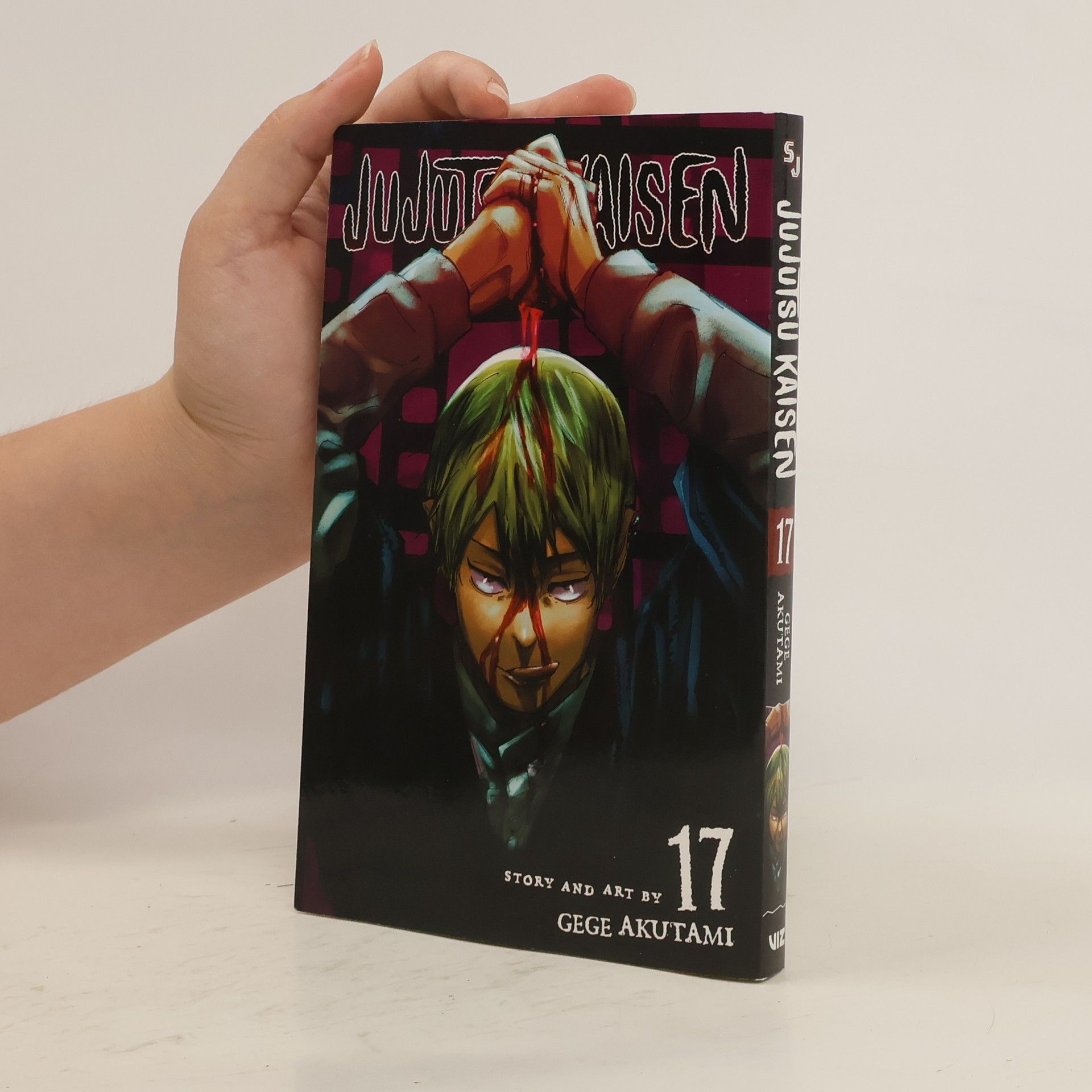 Gege Akutami Jujutsu Kaisen Volume 17