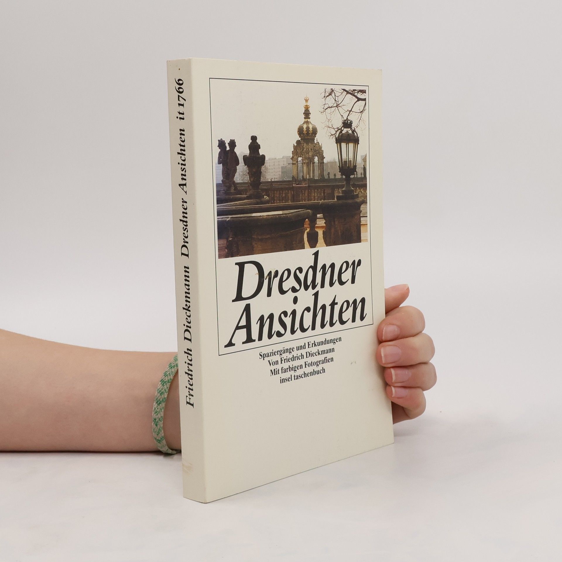 Friedrich Dieckmann Dresdner Ansichten