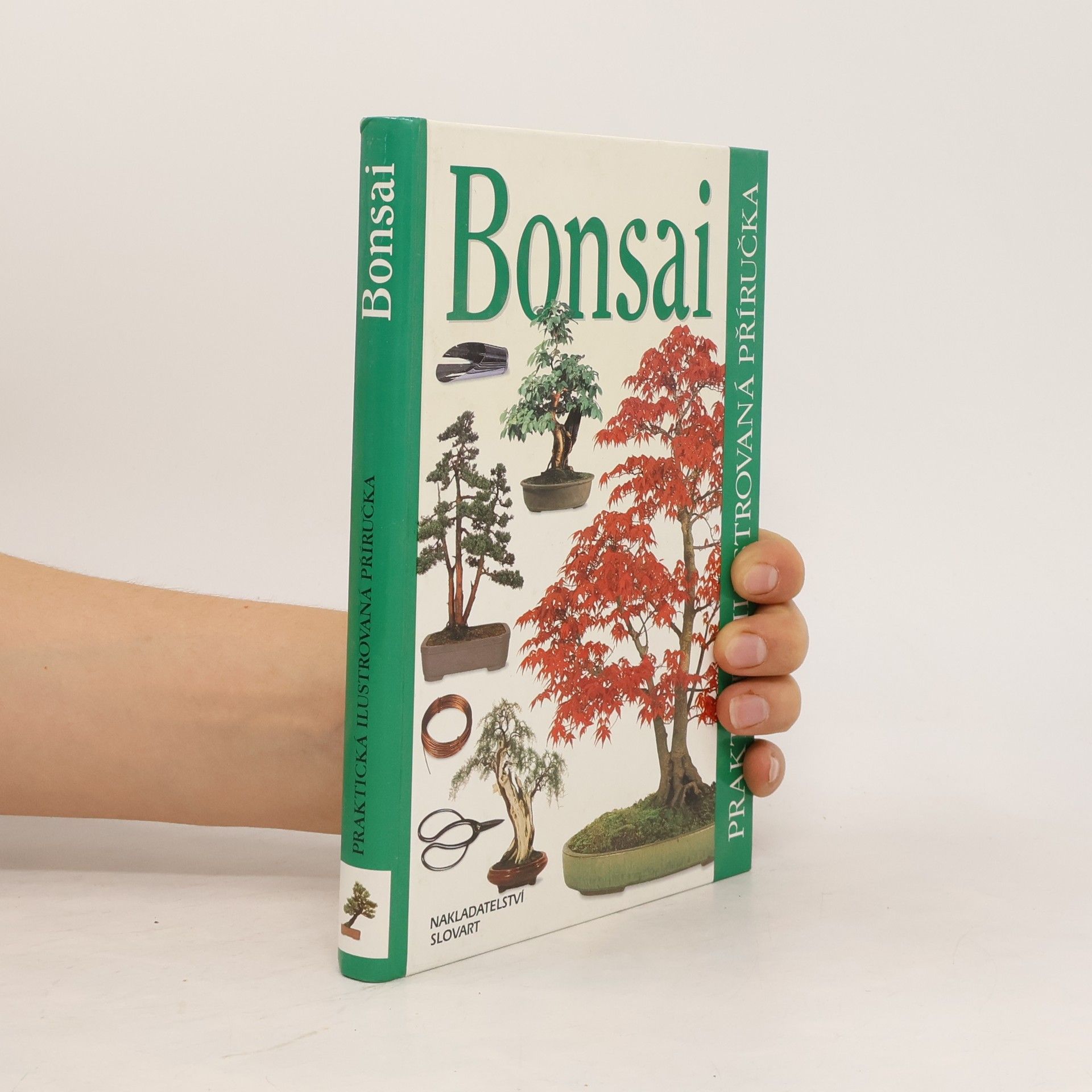 Dana Wiesnerová Bonsai. Praktická ilustrovaná příručka